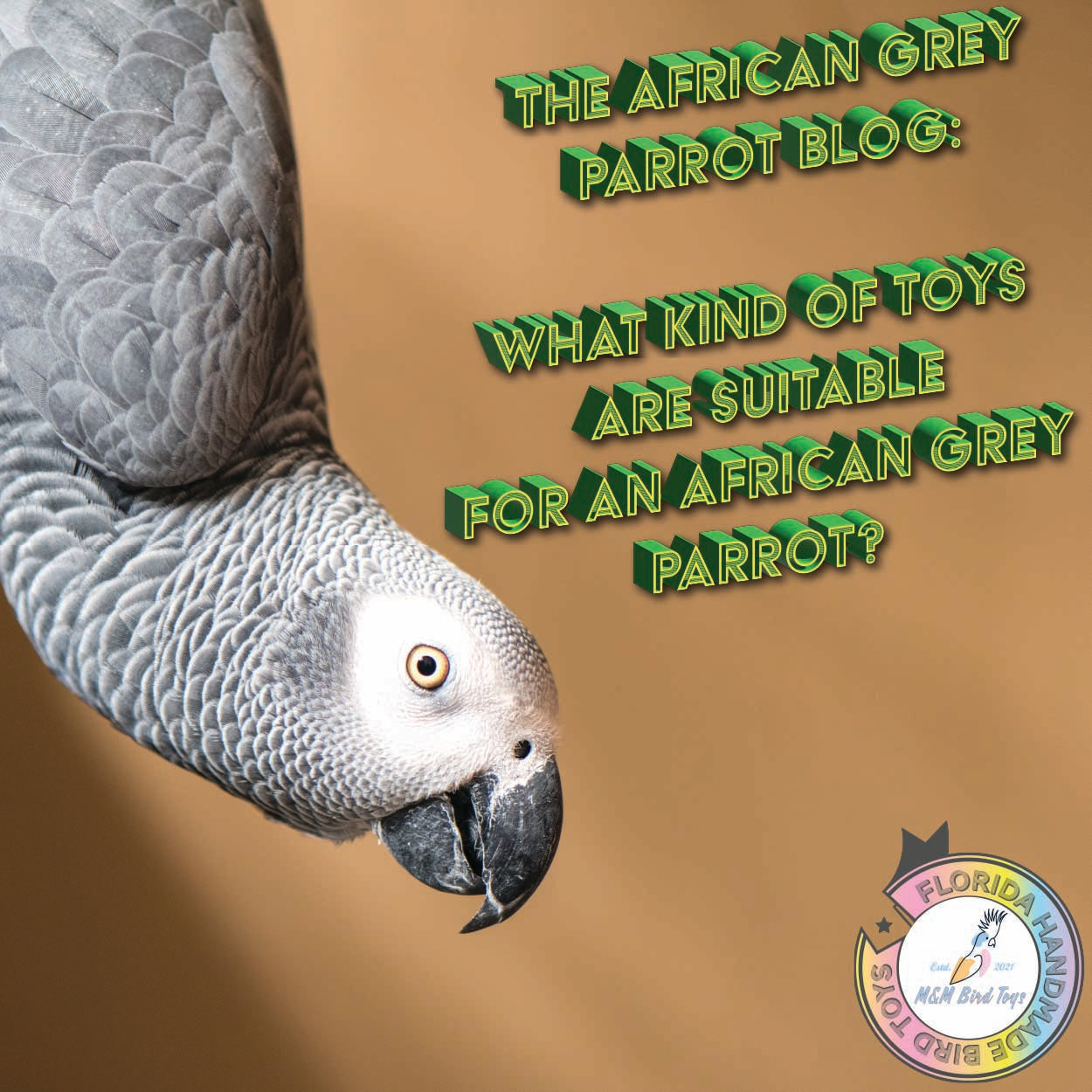 African Grey Parrot Blog: What kind of toys are suitable for an African Grey Parrot?
