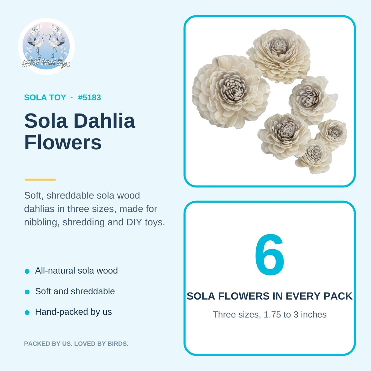 Pk6 Sola Dahlia Flower Assortment #5183