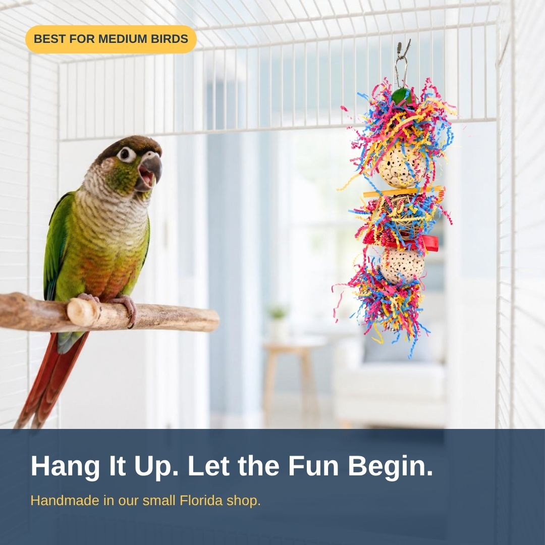 Green-cheeked conure in a cage next to the Medium Sola Shred Tower #1107 hanging bird toy