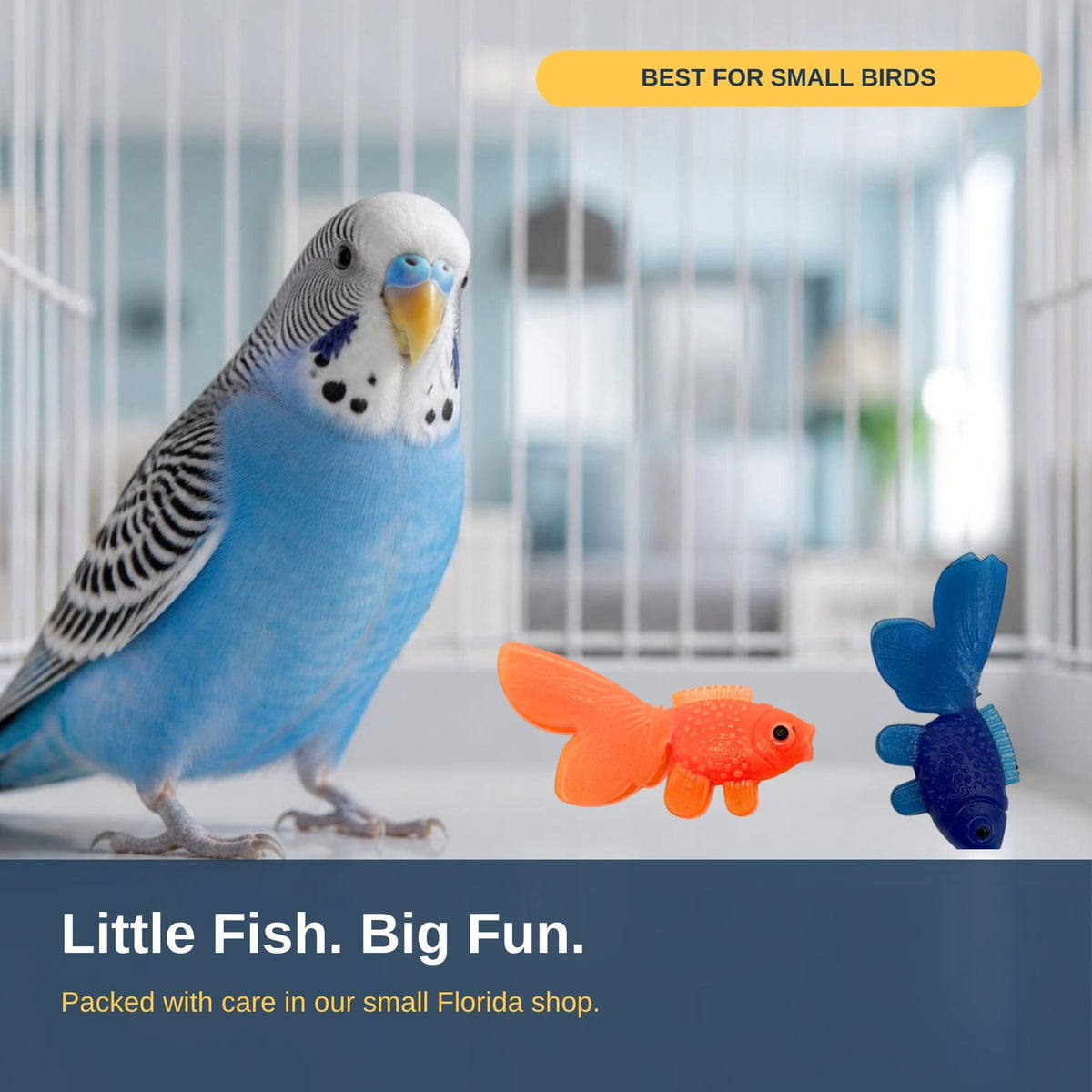 Pk100 Mini Rainbow Fishes #2188