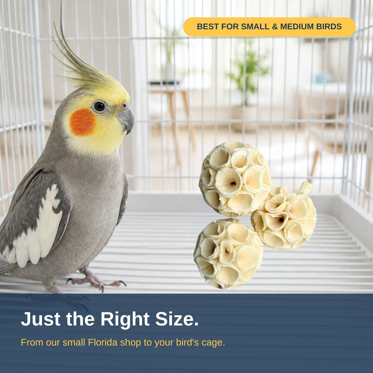Small sola crepes on a cage floor next to a cockatiel #size_small - pack of 8