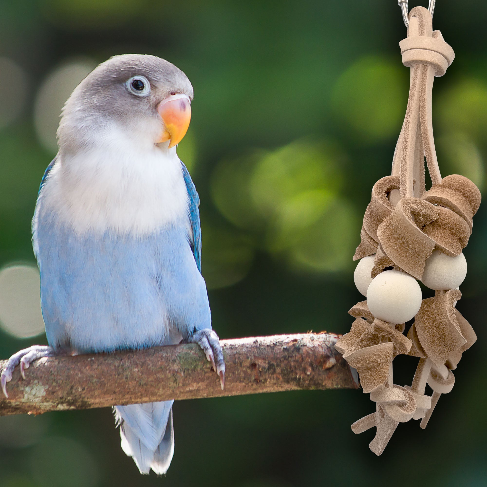 1067 Mini Leather Twisty Spider