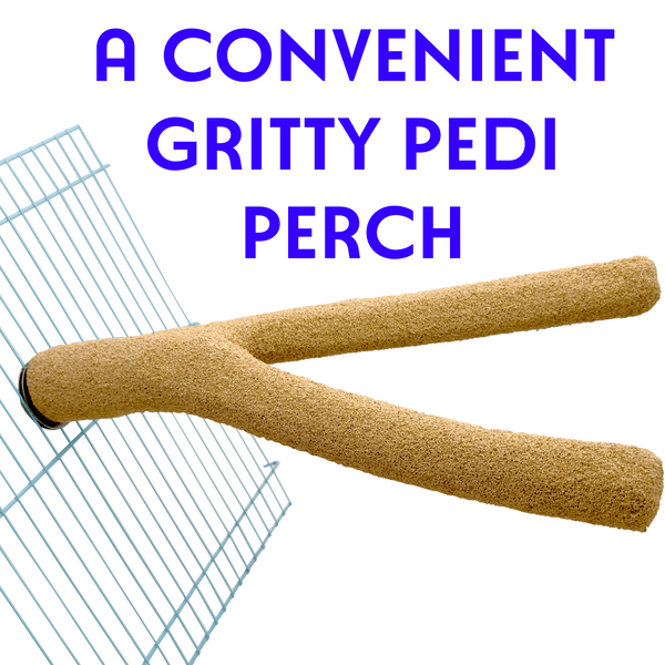 Large Double Pedi Perch #1391