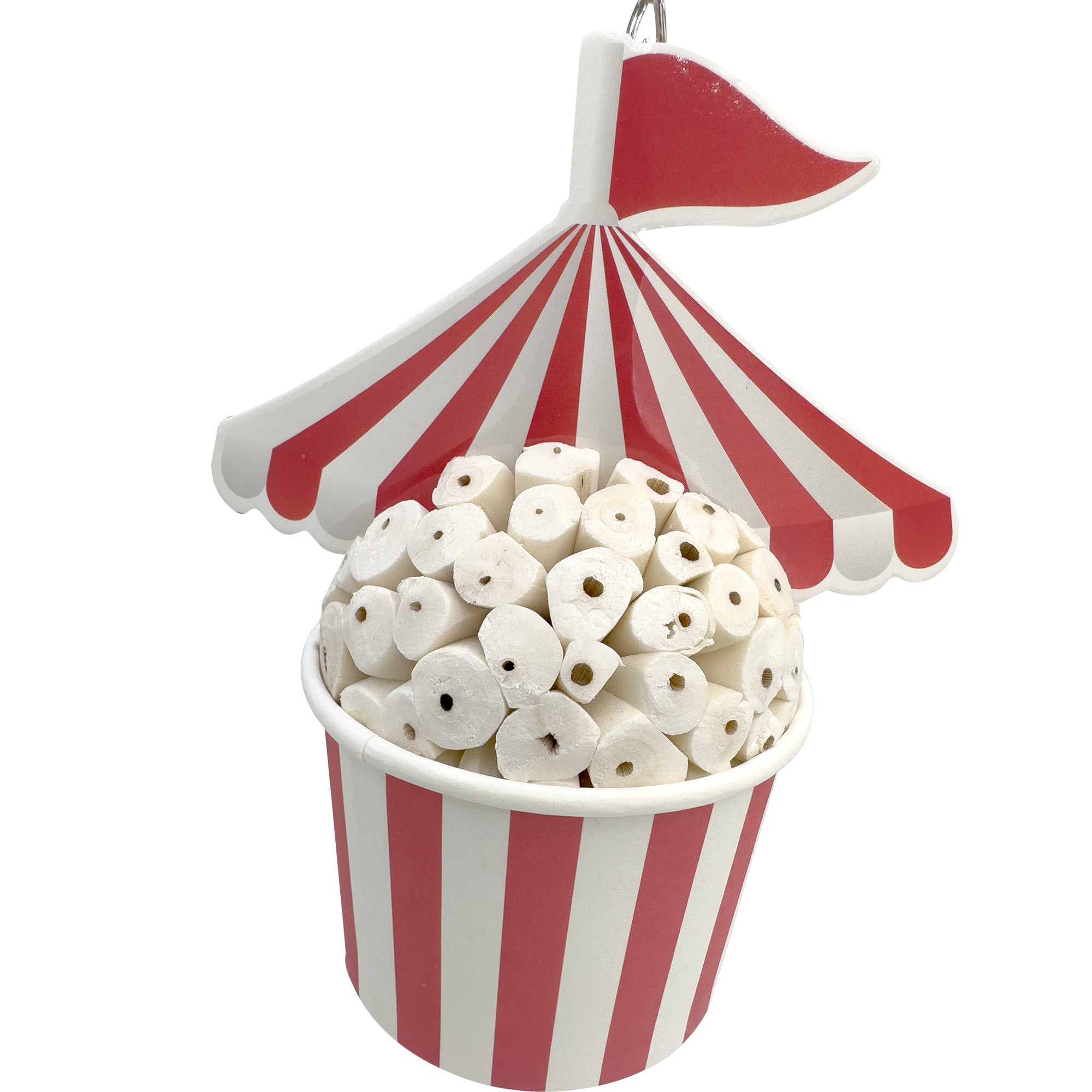 1595 Sola Circus Cup