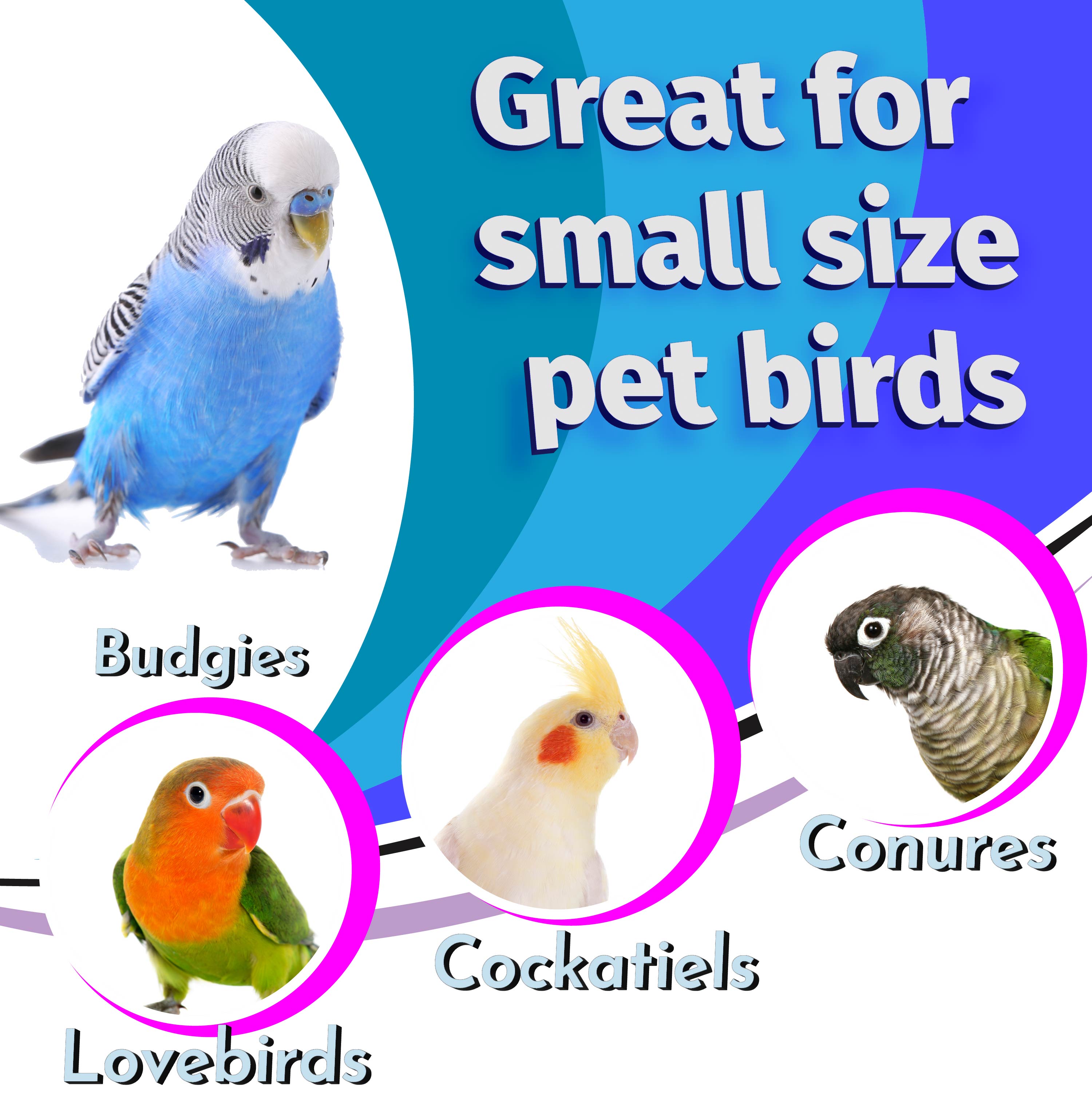 1-Inch Ring Donuts – Pk15, Pk20, or Pk25