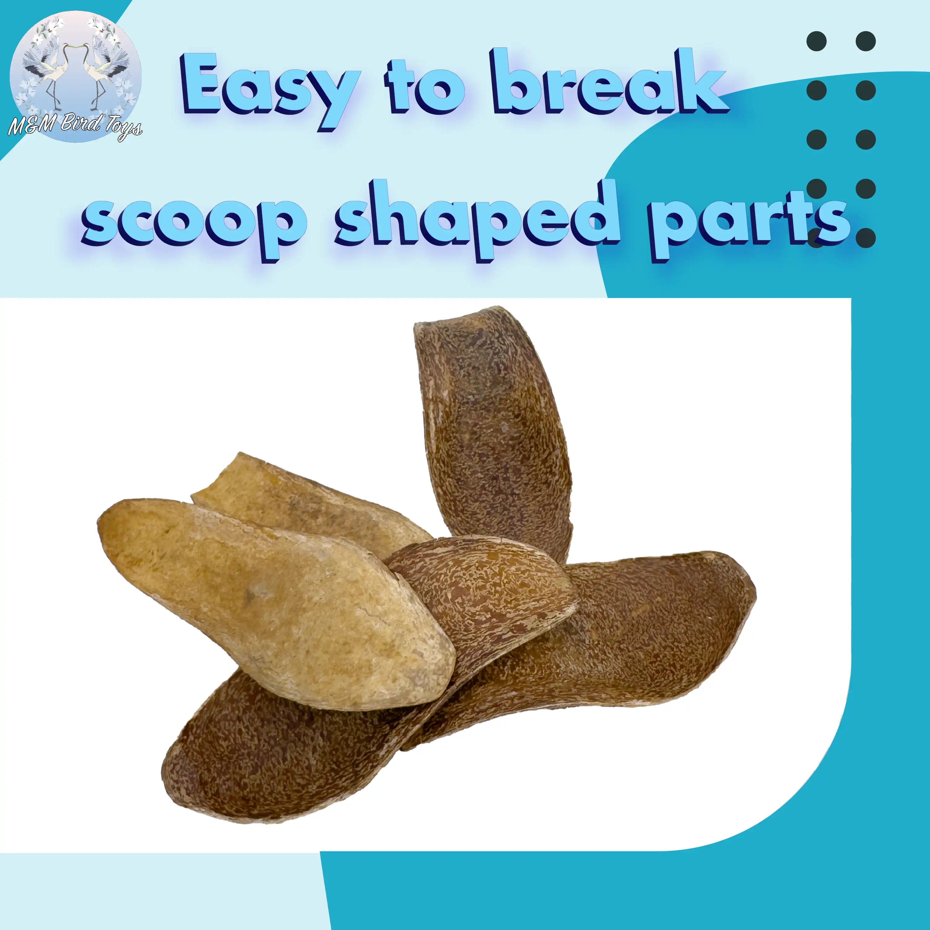 2063 Pk10 Mahogany Scoops