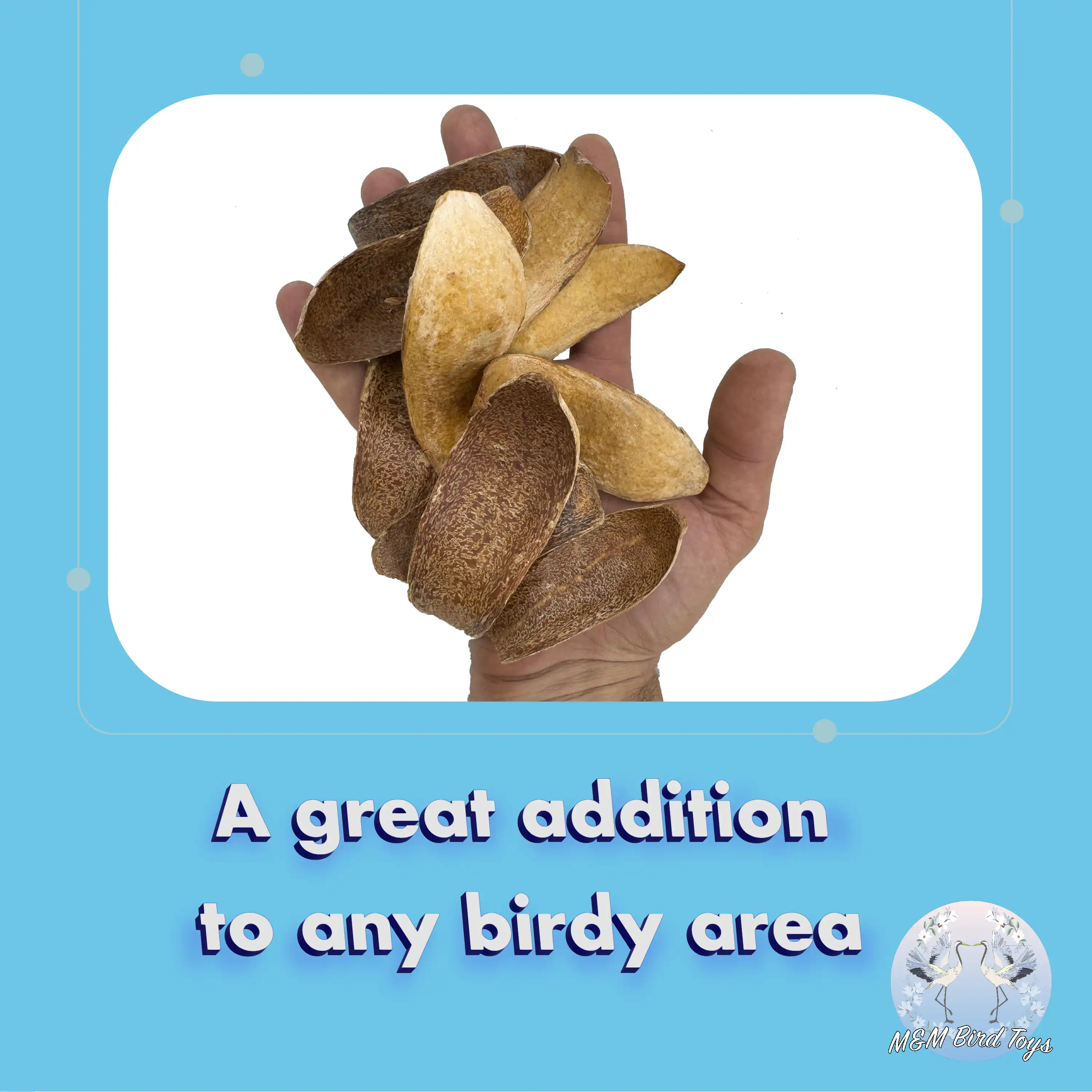 2063 Pk10 Mahogany Scoops