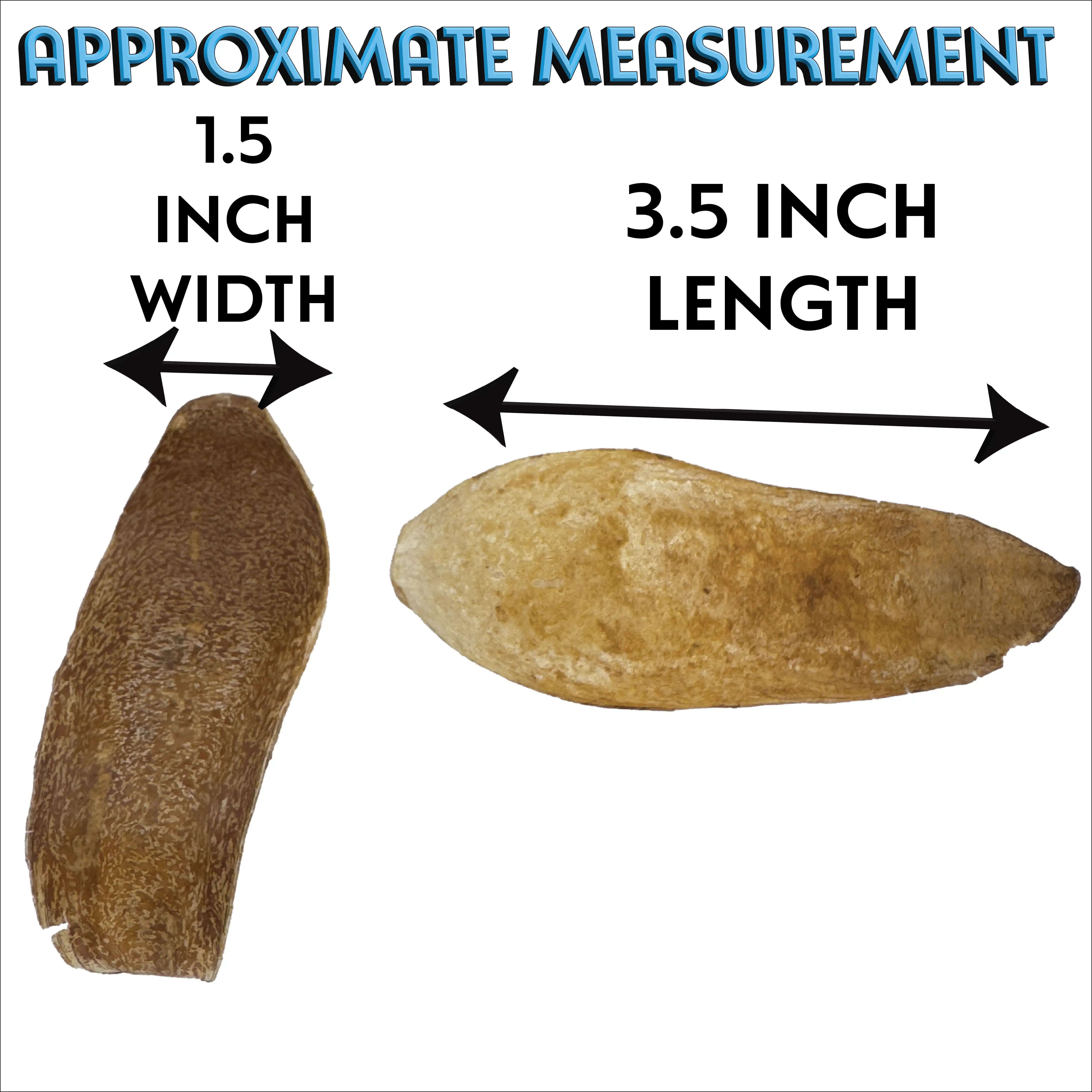 2063 Pk10 Mahogany Scoops