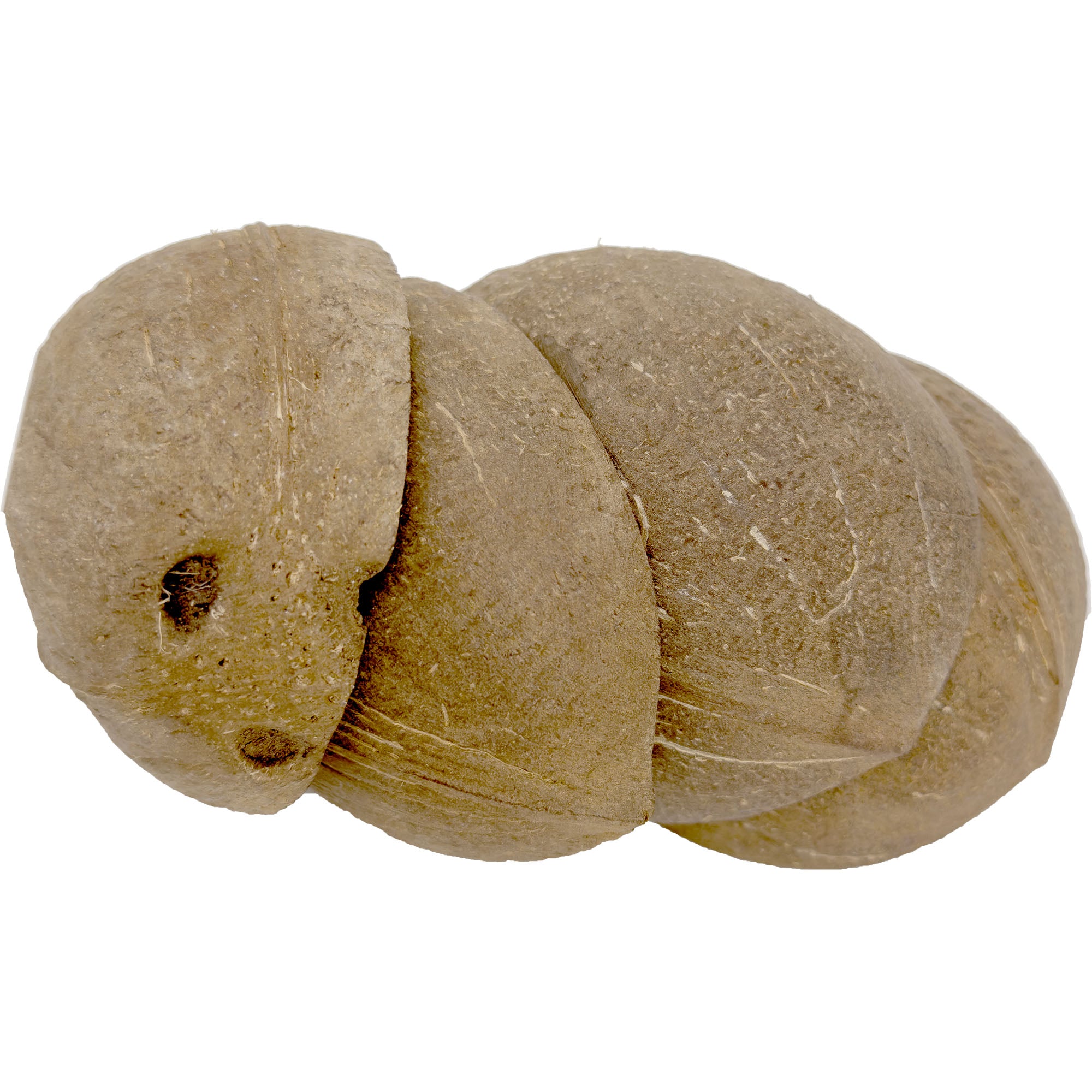 2070 Pk4 Sanded Base Half Shell Coconut