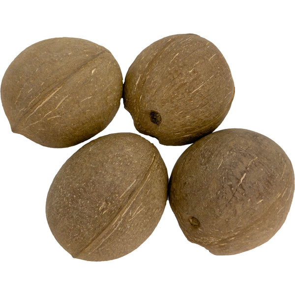 Pk4 Half Shell Coconuts #2071