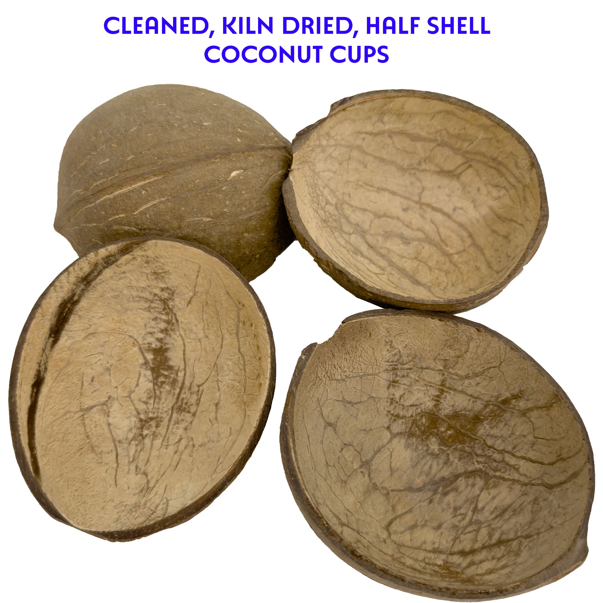 2071 Pk4 Half Shell Coconuts