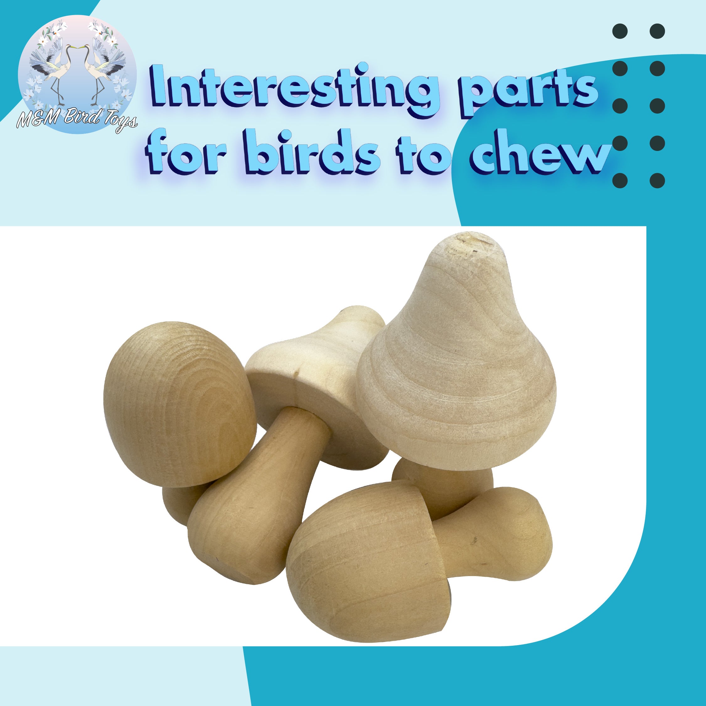 2152 Pk4 Wood Mushrooms