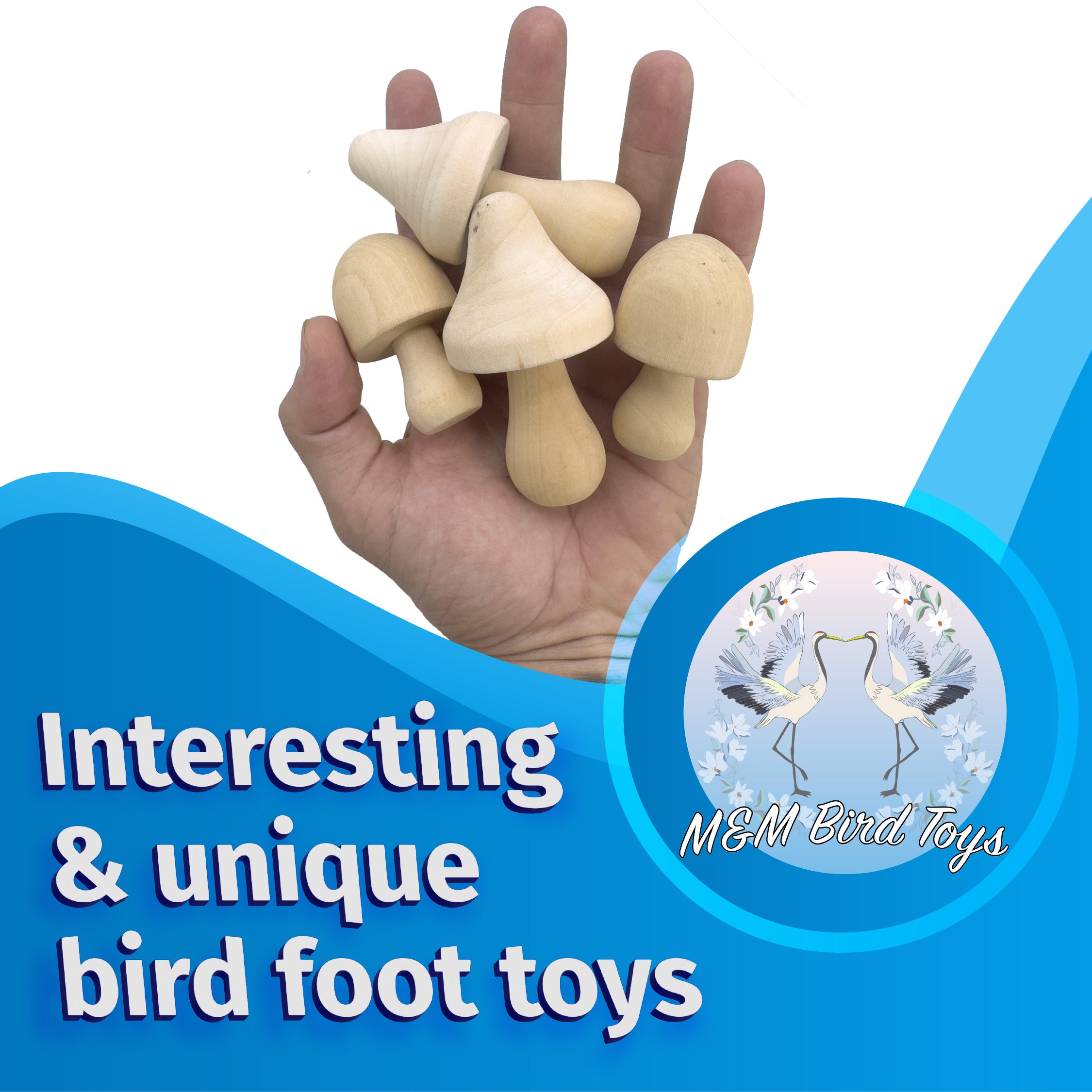 2152 Pk4 Wood Mushrooms