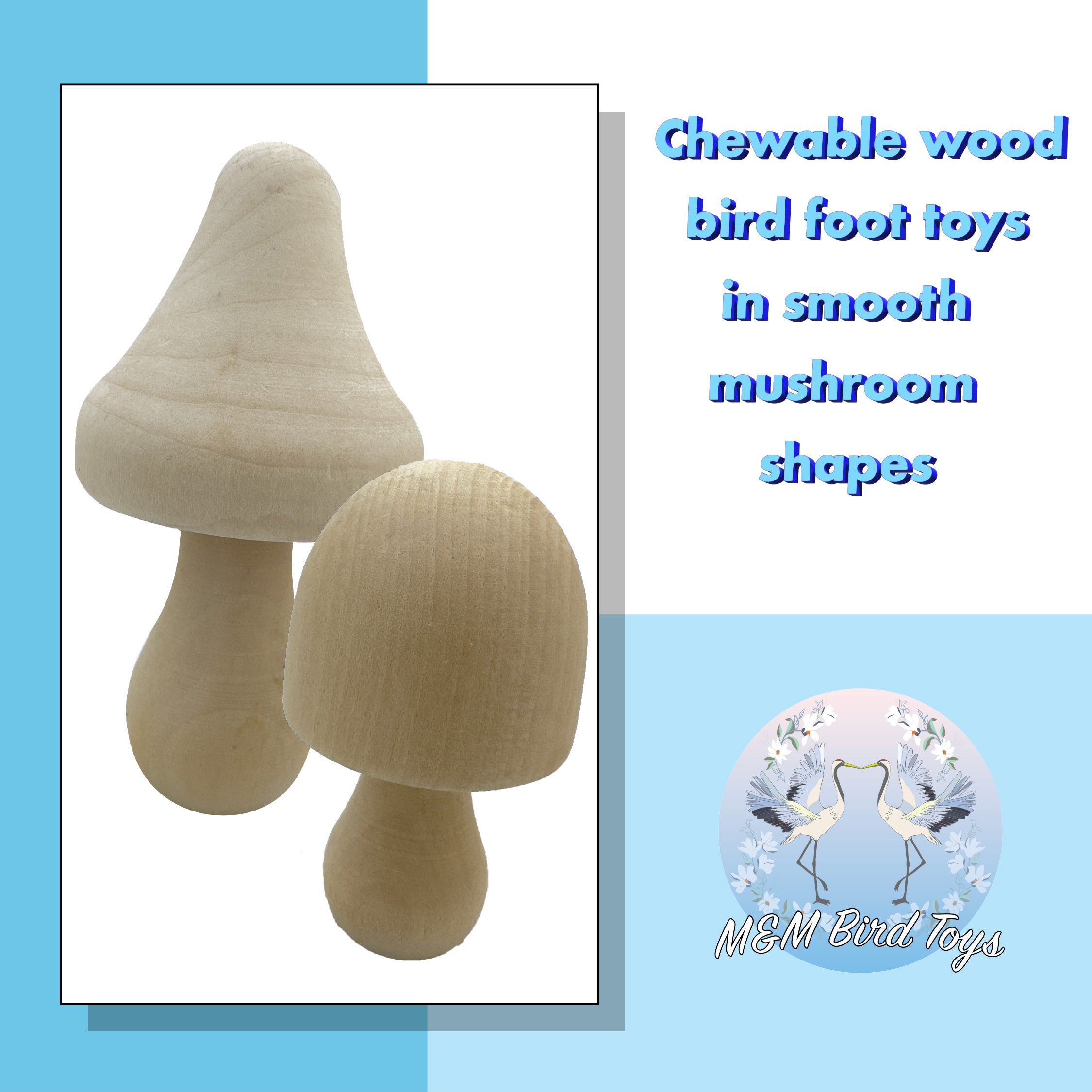 2152 Pk4 Wood Mushrooms