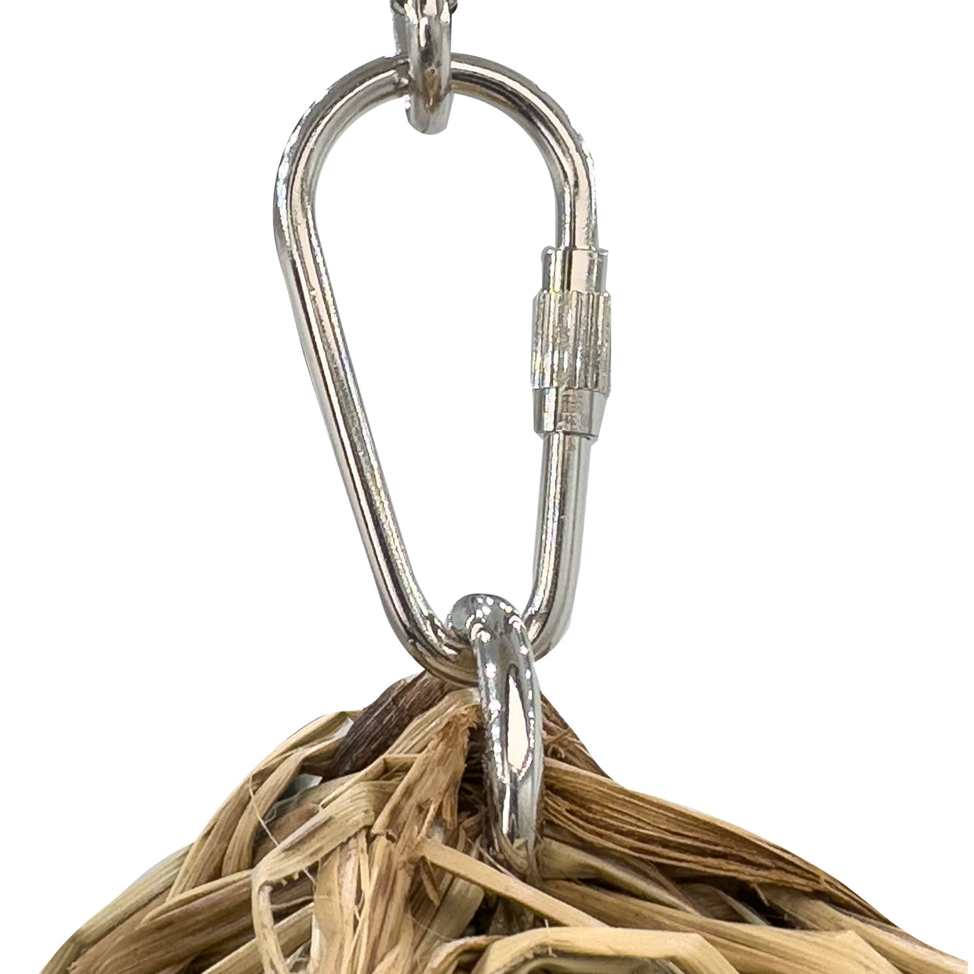 501 Paci Seagrass Tunnel