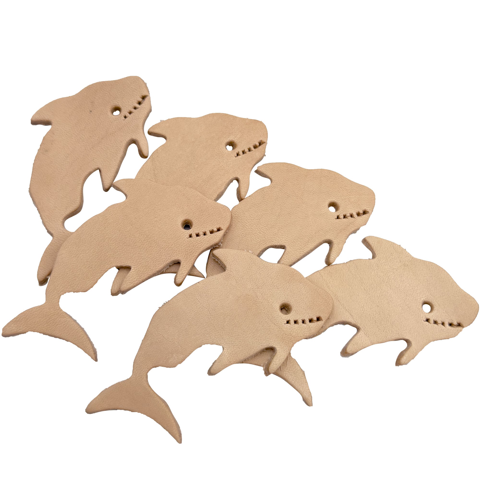 5045 Pk6 Chewy Sharks