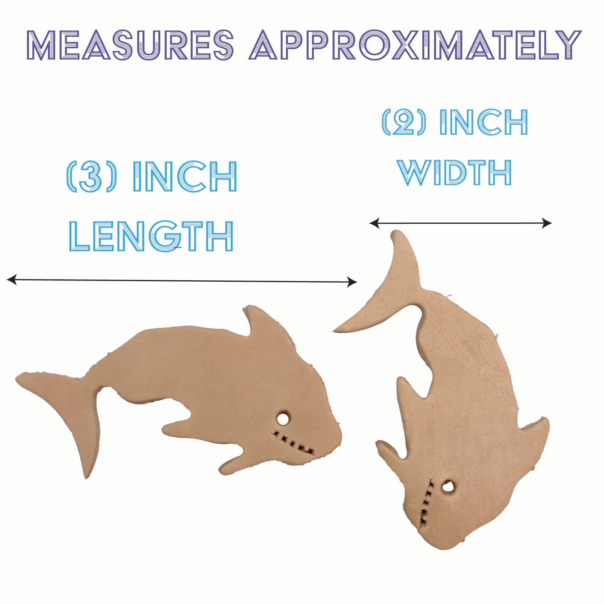 5045 Pk6 Chewy Sharks