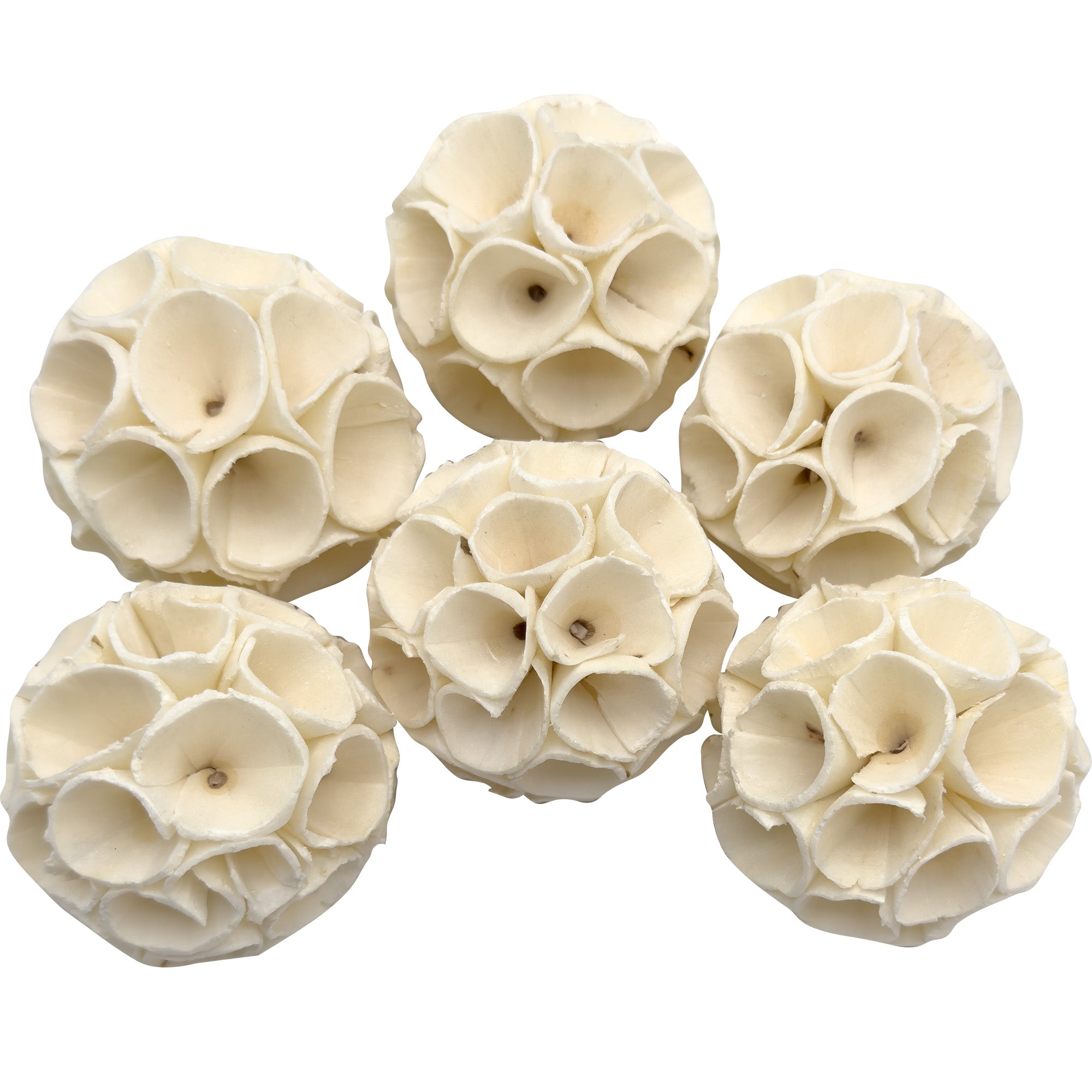 5130 Medium Sola Wood Crepes