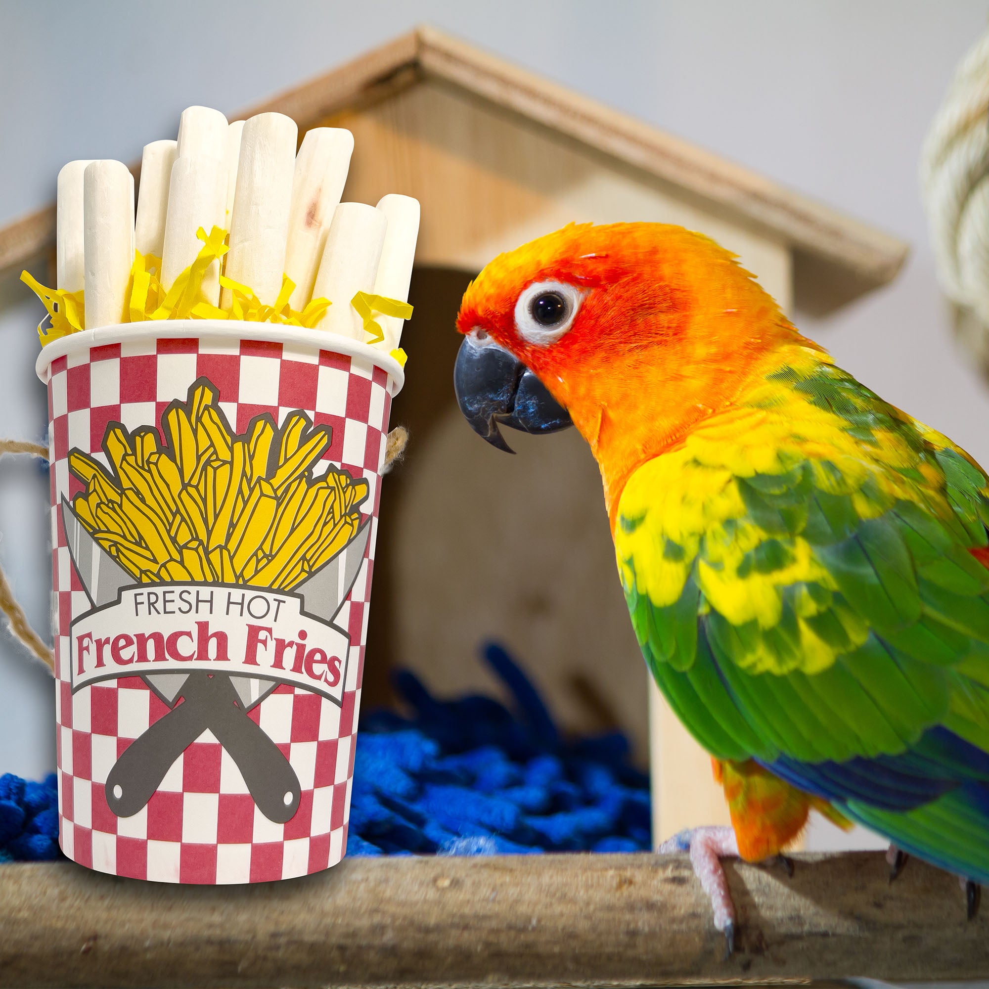 5151 Big Sola Fry Bucket