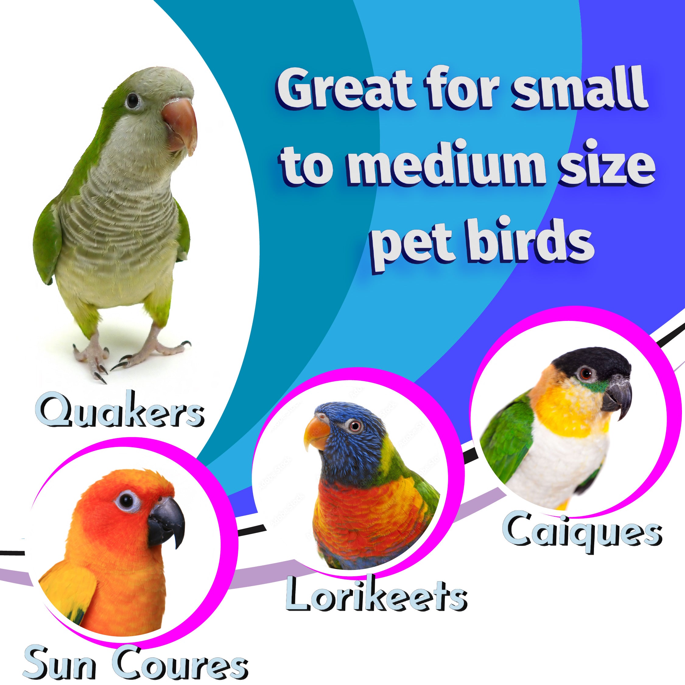 1116 Natural Sola Stick Stack