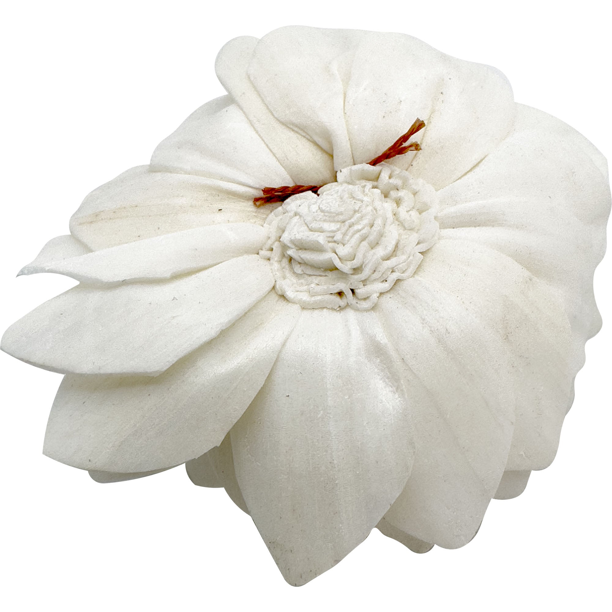 5176 Sola Shred Lotus