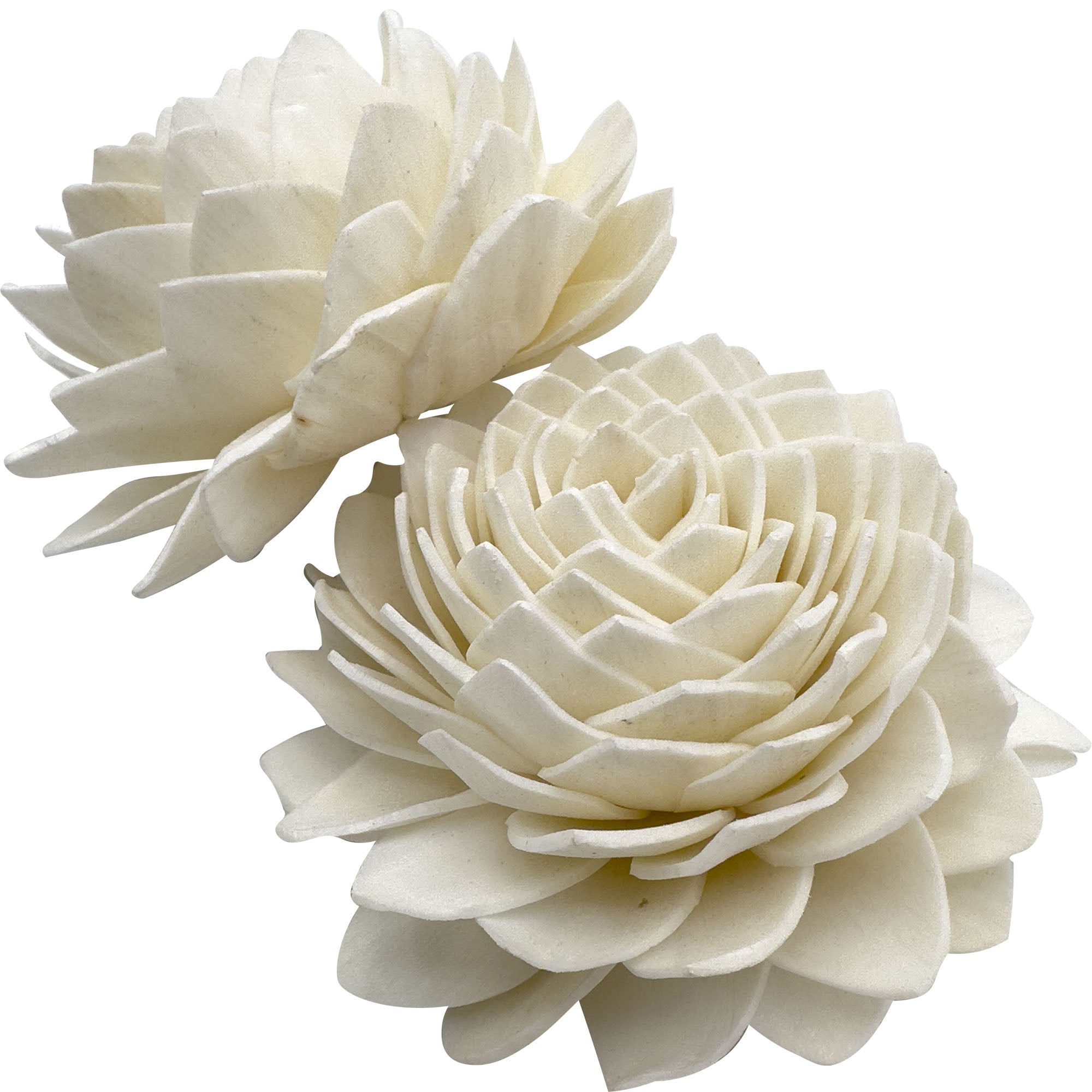 5176 Sola Shred Lotus