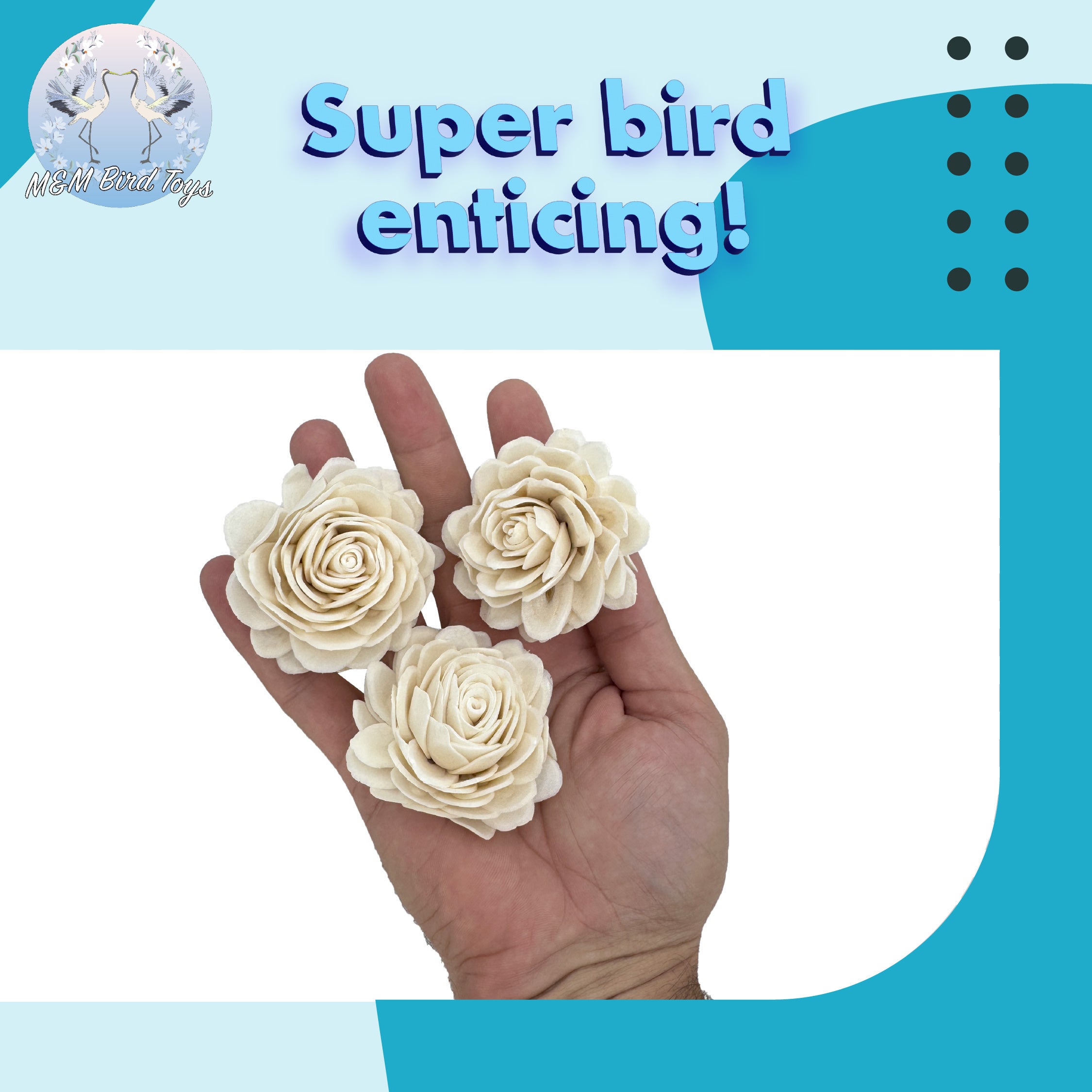 5177 Pk3 Medium Sola Chrysanthemum