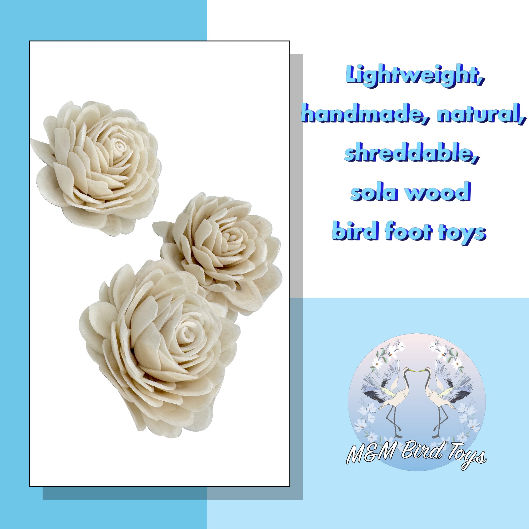 5177 Pk3 Medium Sola Chrysanthemum