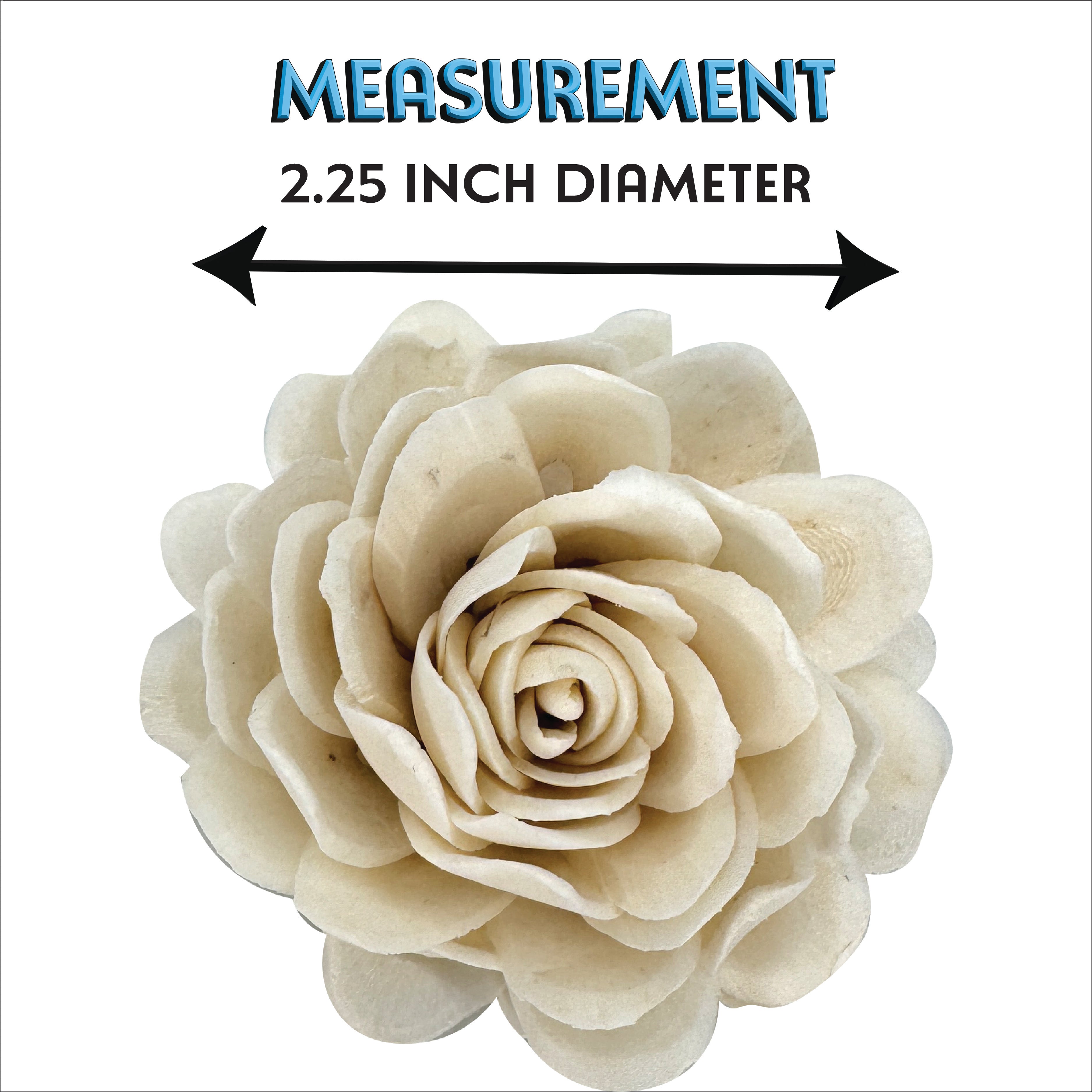 5177 Pk3 Medium Sola Chrysanthemum