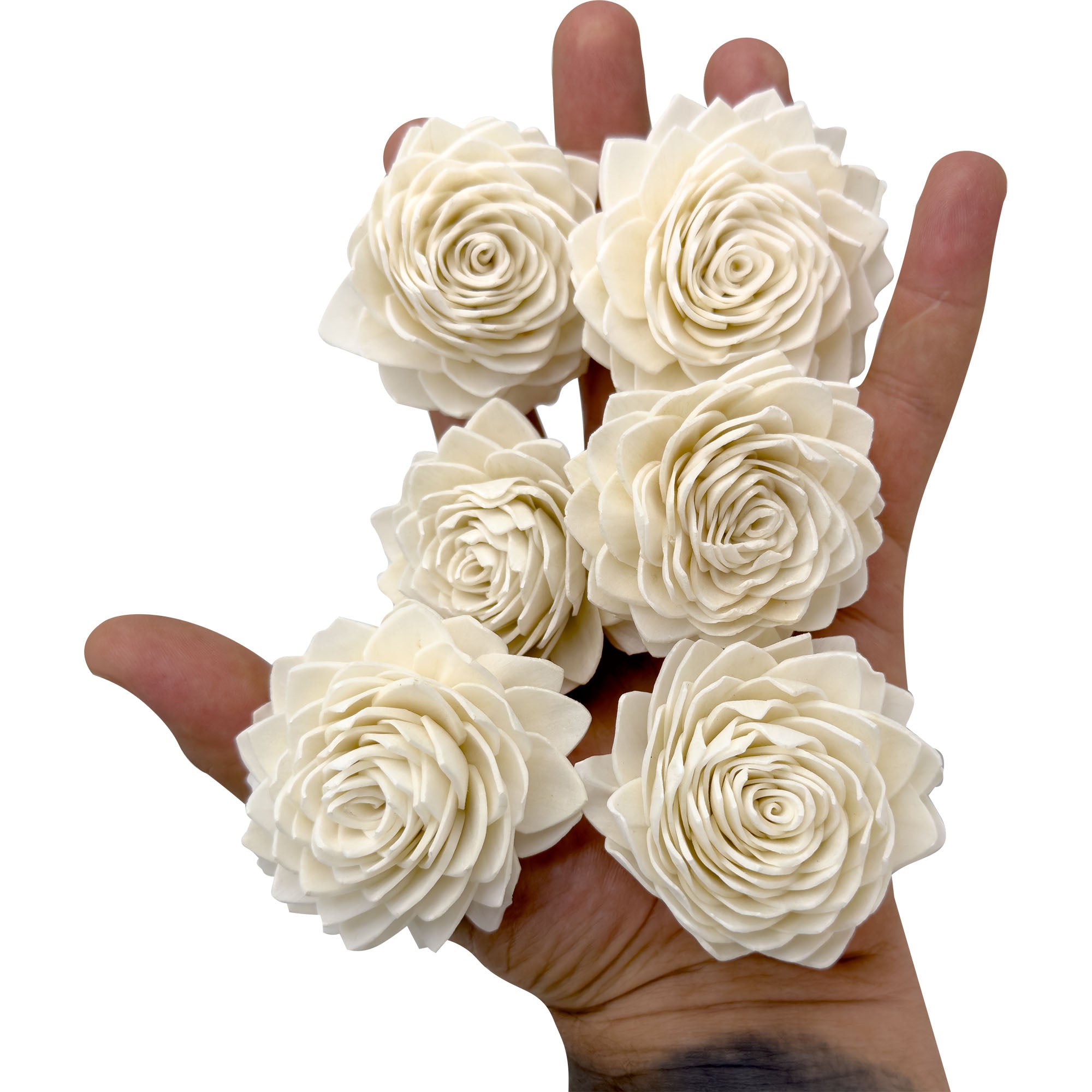 5176 Sola Shred Lotus