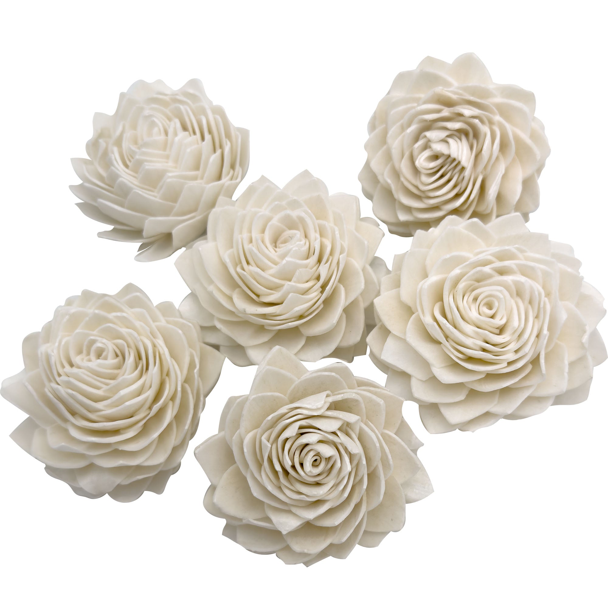 5176 Sola Shred Lotus