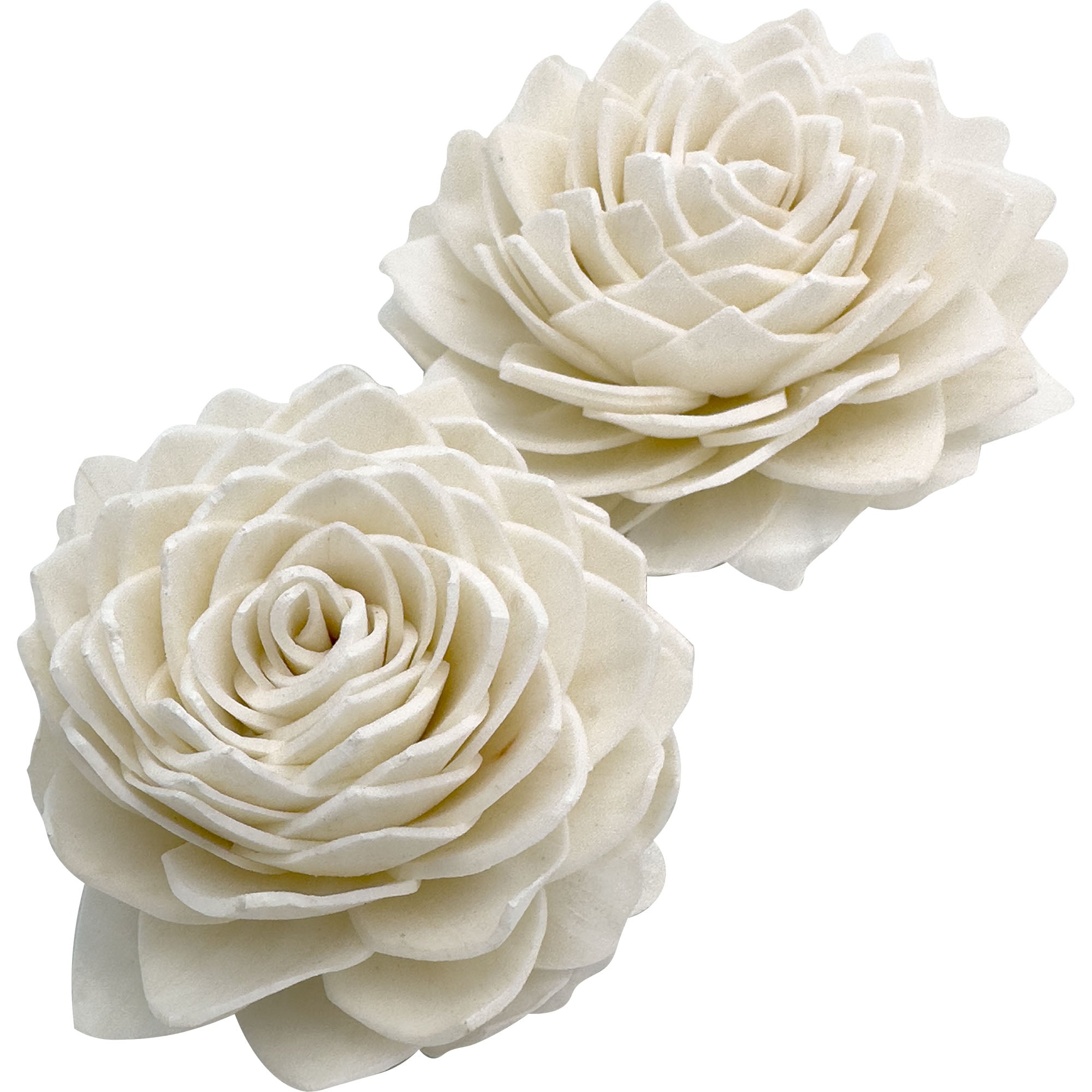 5176 Sola Shred Lotus