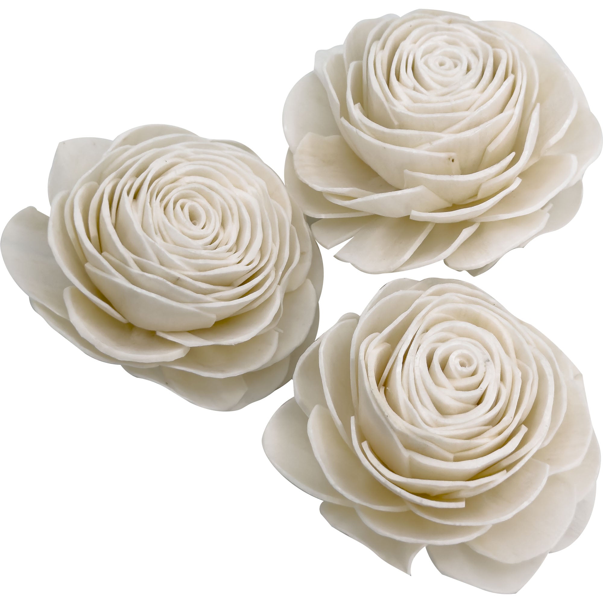 5175 Sola Shred Roses