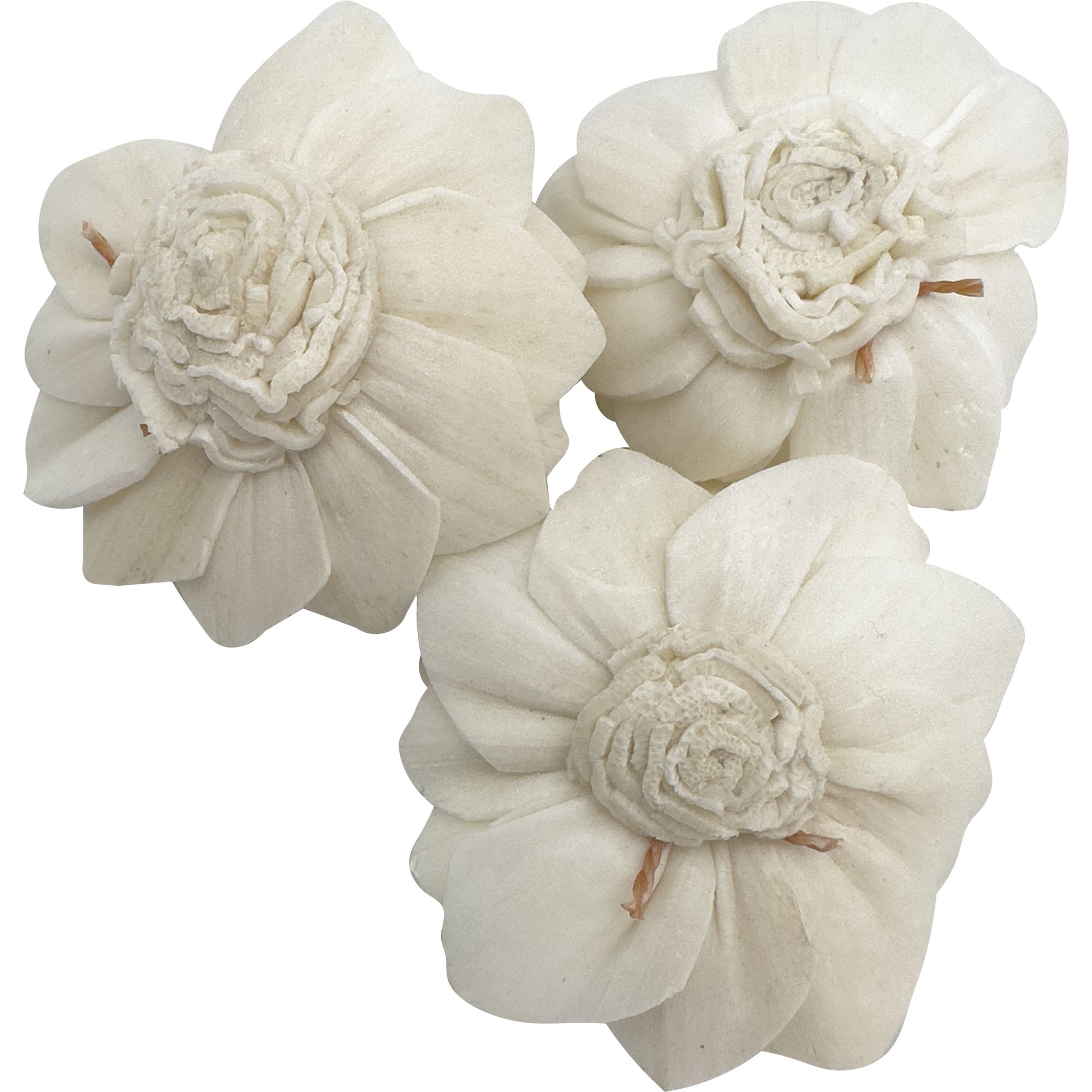 5176 Sola Shred Lotus