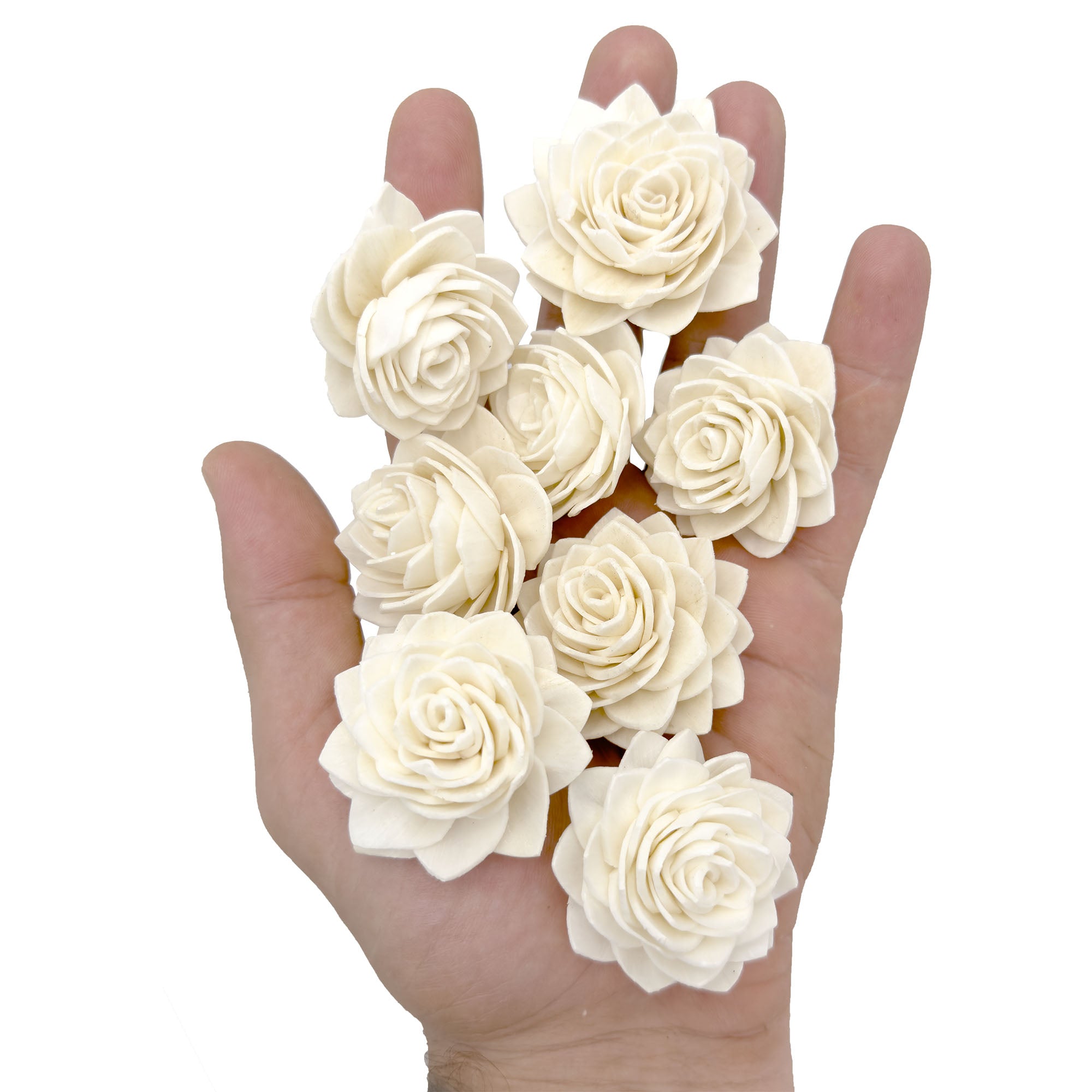 5176 Sola Shred Lotus