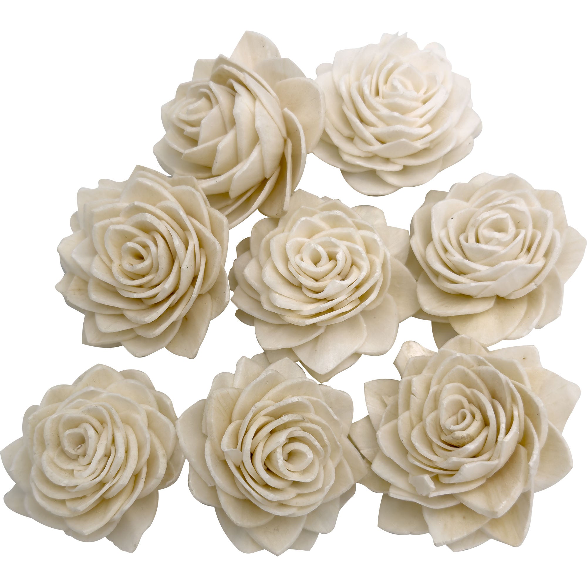 5176 Sola Shred Lotus