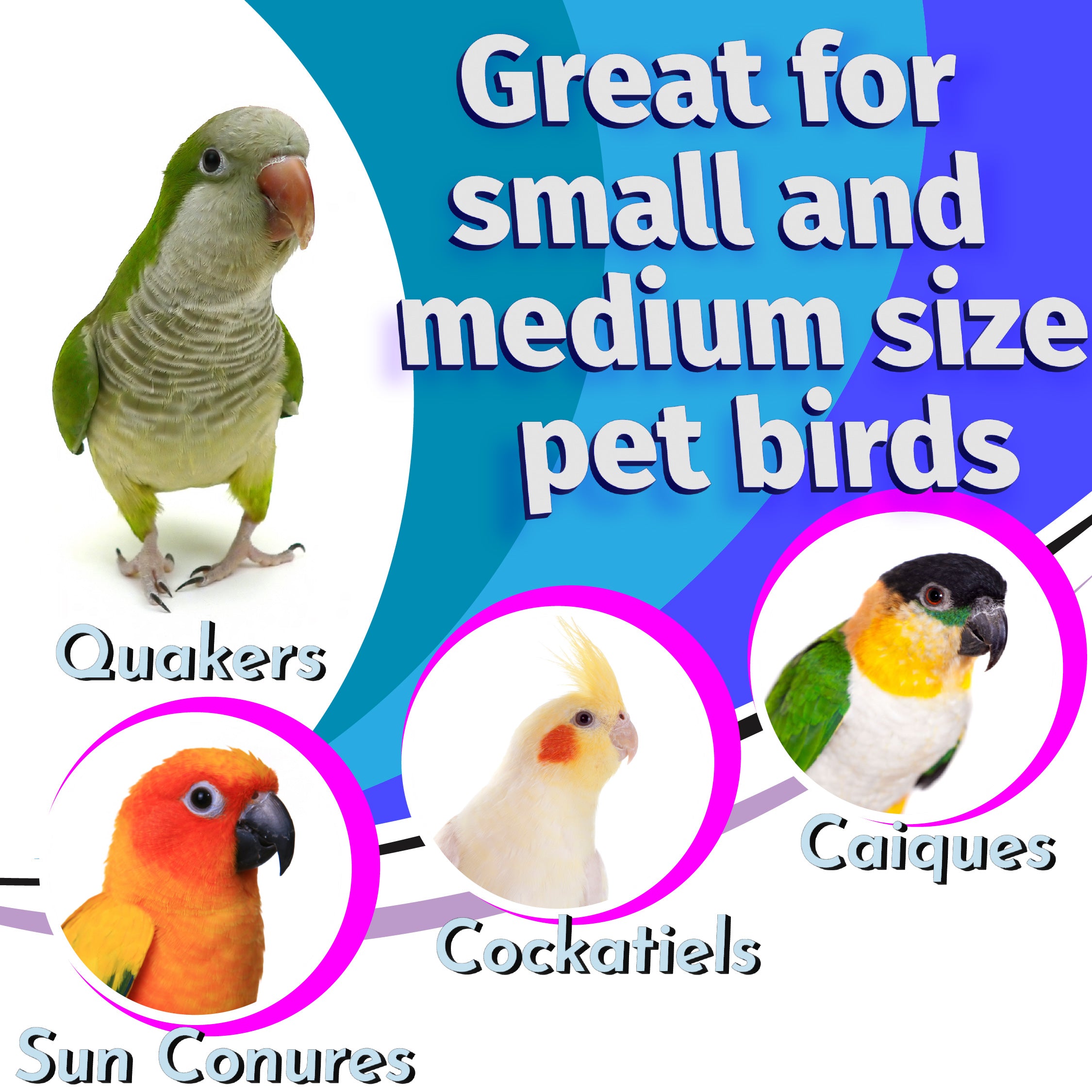 2063 Pk10 Mahogany Scoops