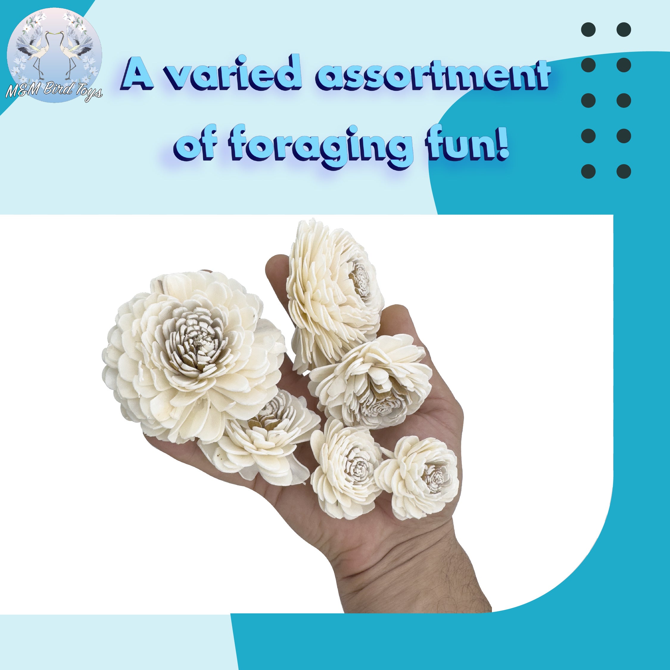 5183 Pk6 Sola Dahlia Flower Assortment