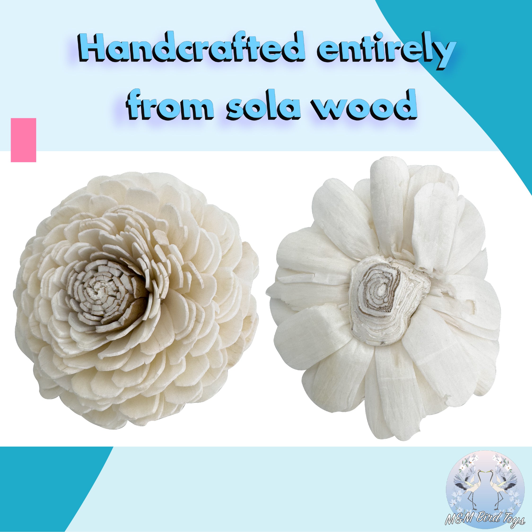 5183 Pk6 Sola Dahlia Flower Assortment