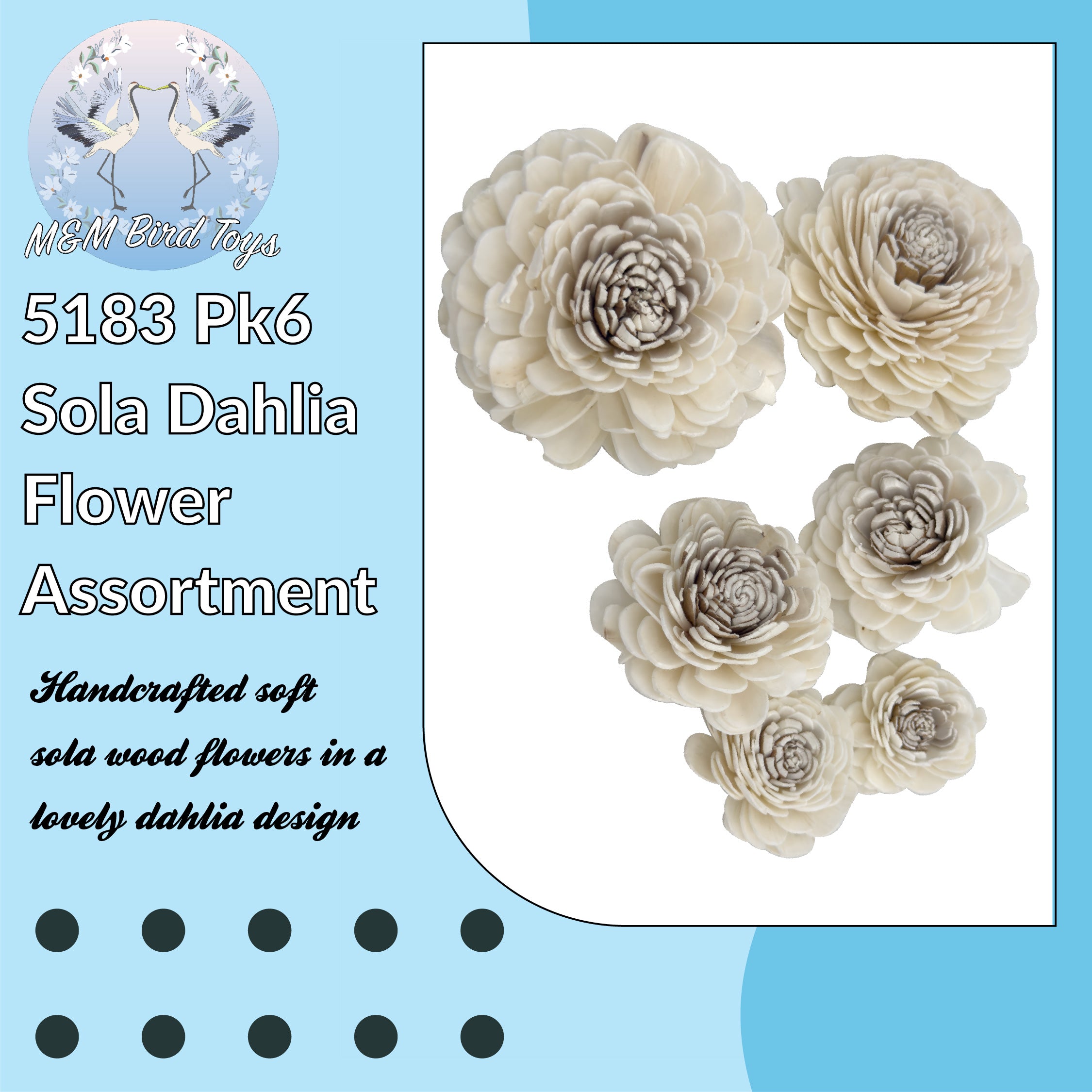 5183 Pk6 Sola Dahlia Flower Assortment
