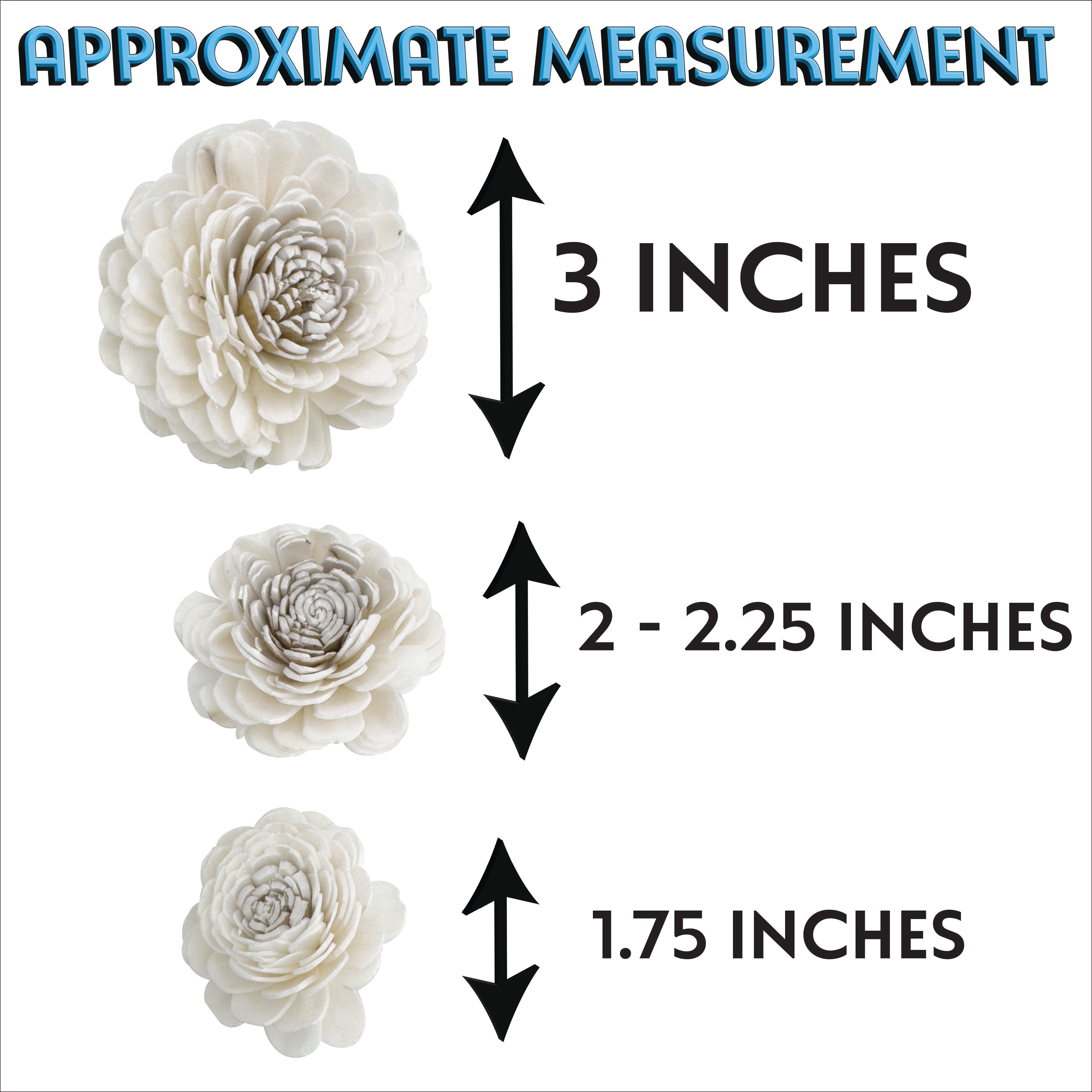 5183 Pk6 Sola Dahlia Flower Assortment