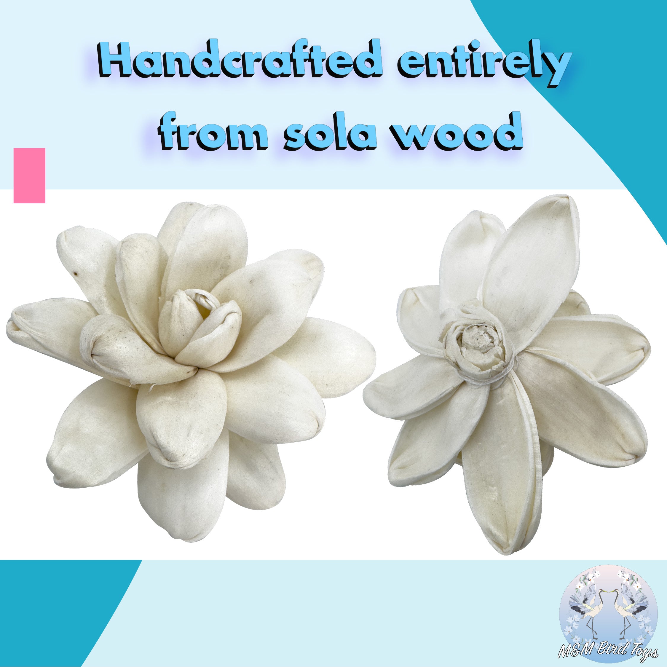 5184 Pk6 Sola Echeveria Flower Assortment