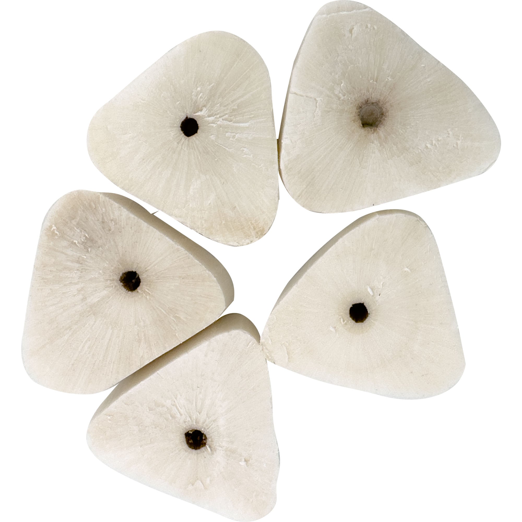 5185 Pk25 Mini Sola Oysters