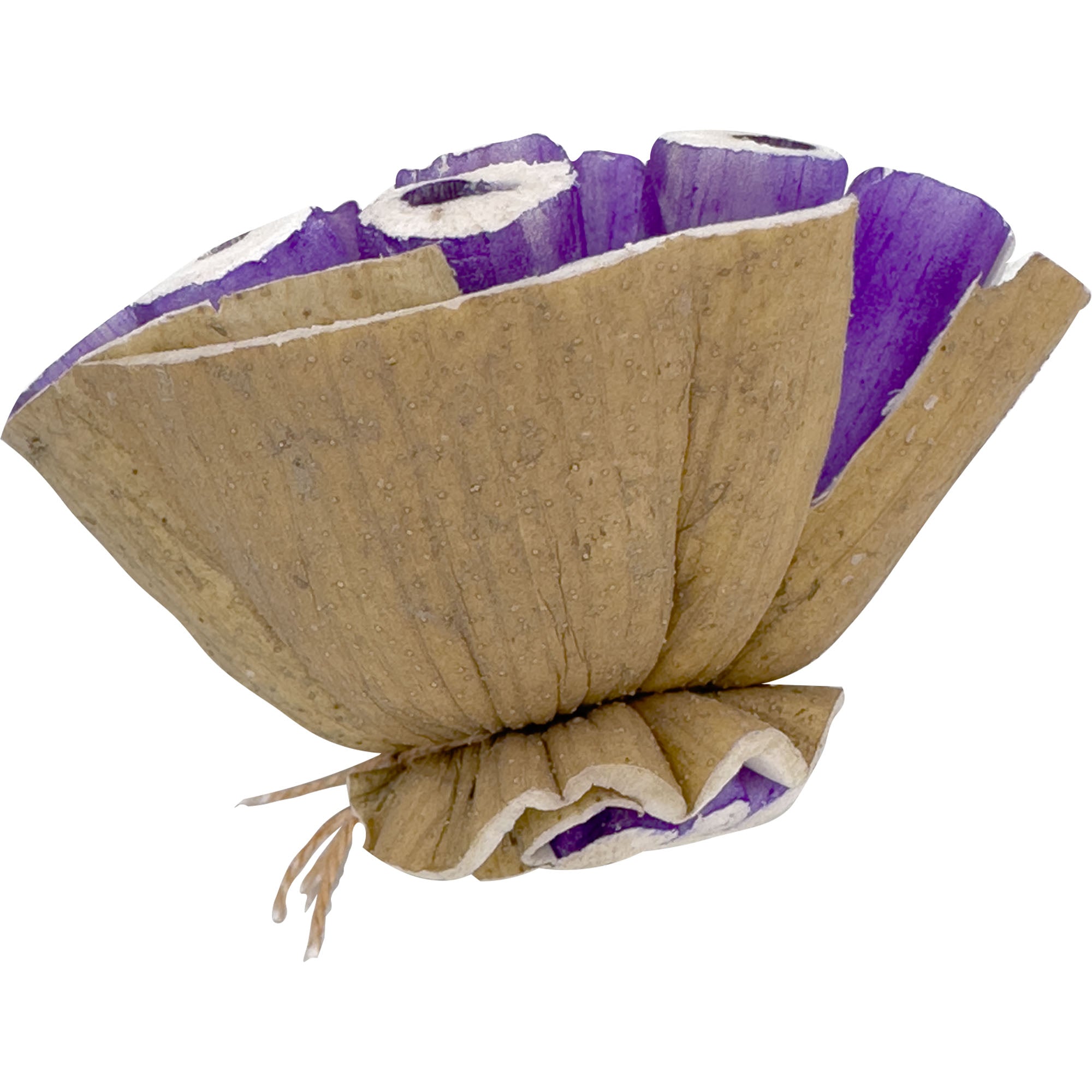 5301 Pk3 Small Sola Blooms