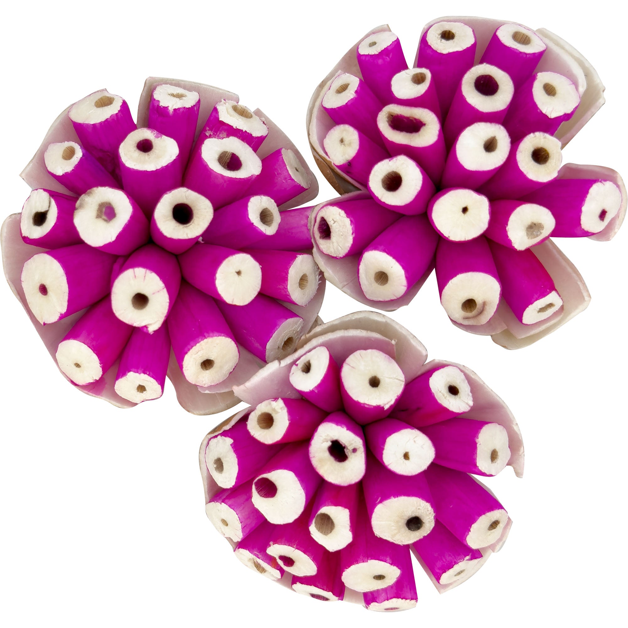 5301 Pk3 Small Sola Blooms