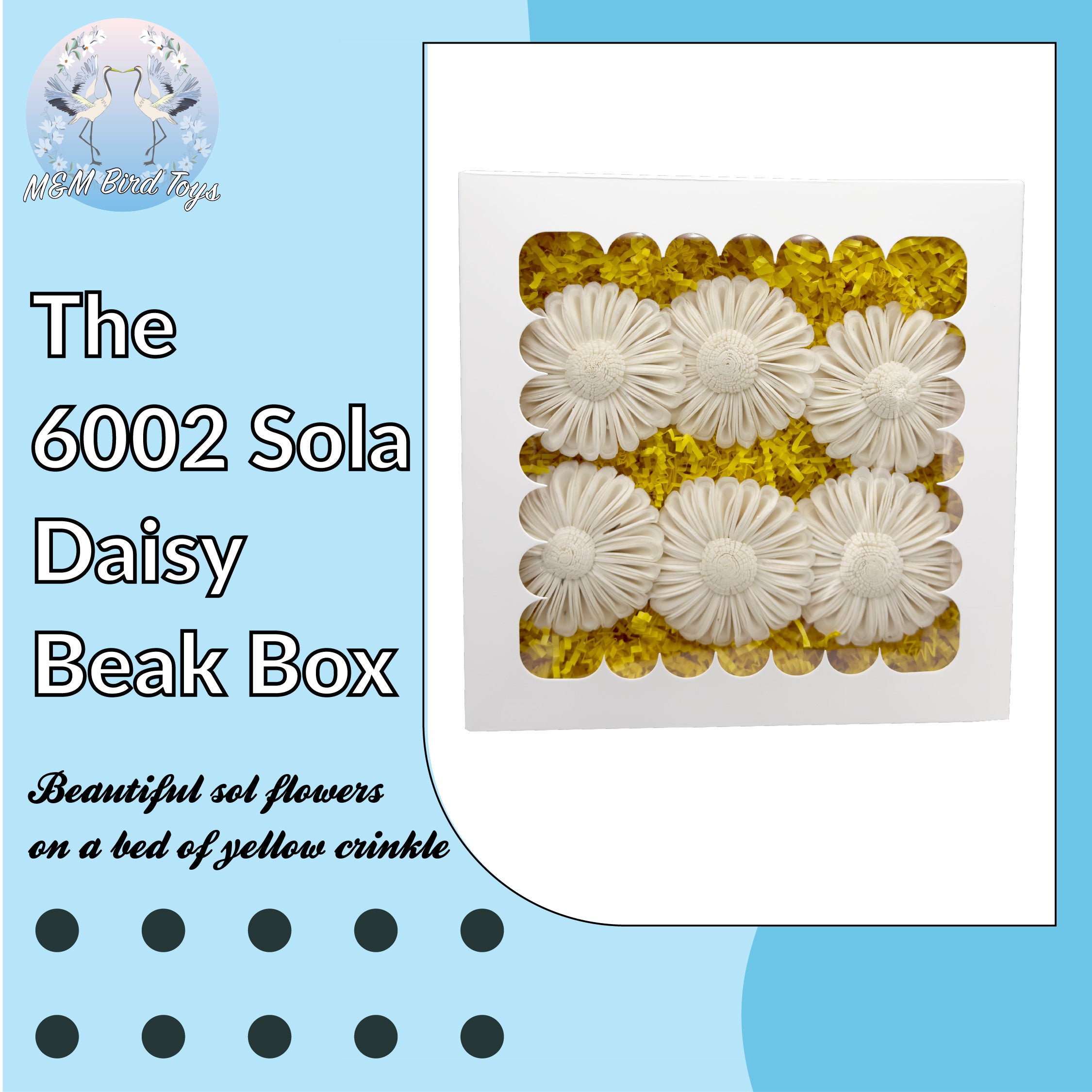 6002 Sola Daisy Beak Box
