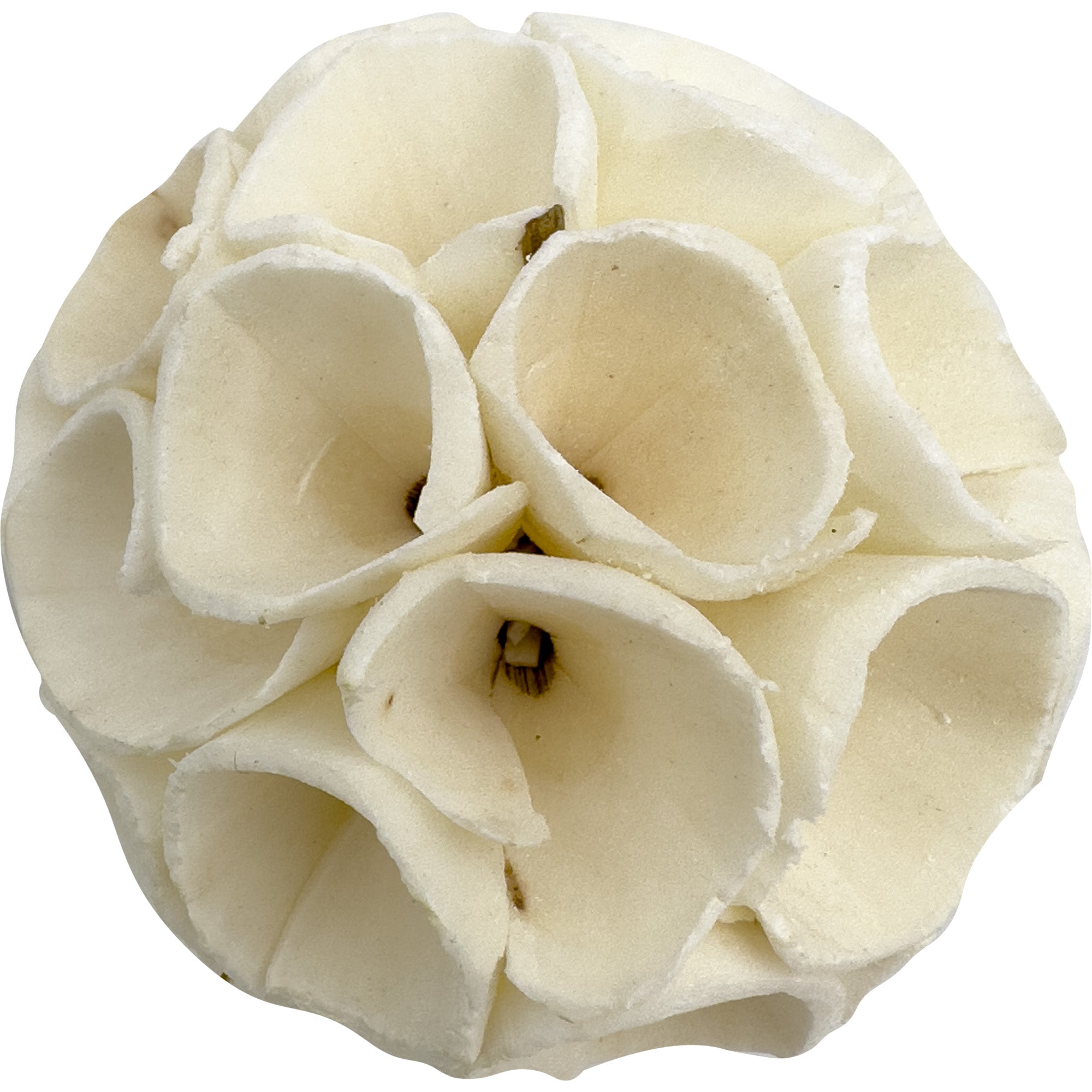 5130 Medium Sola Wood Crepes