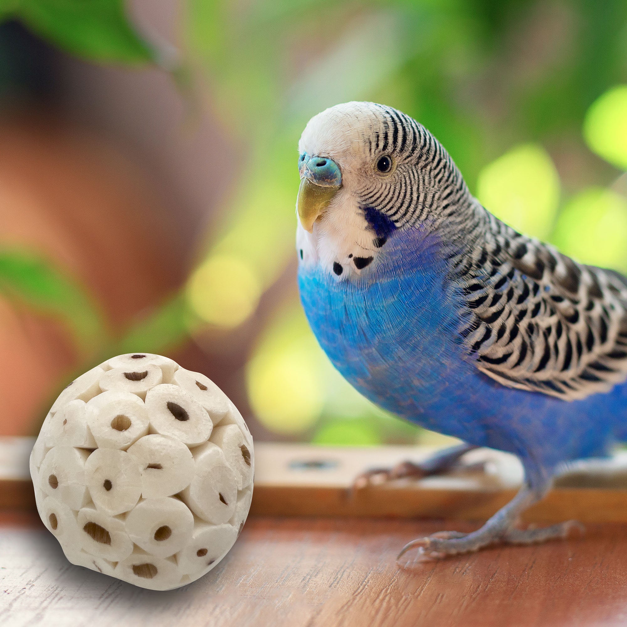 5122 Mini Sola Balls