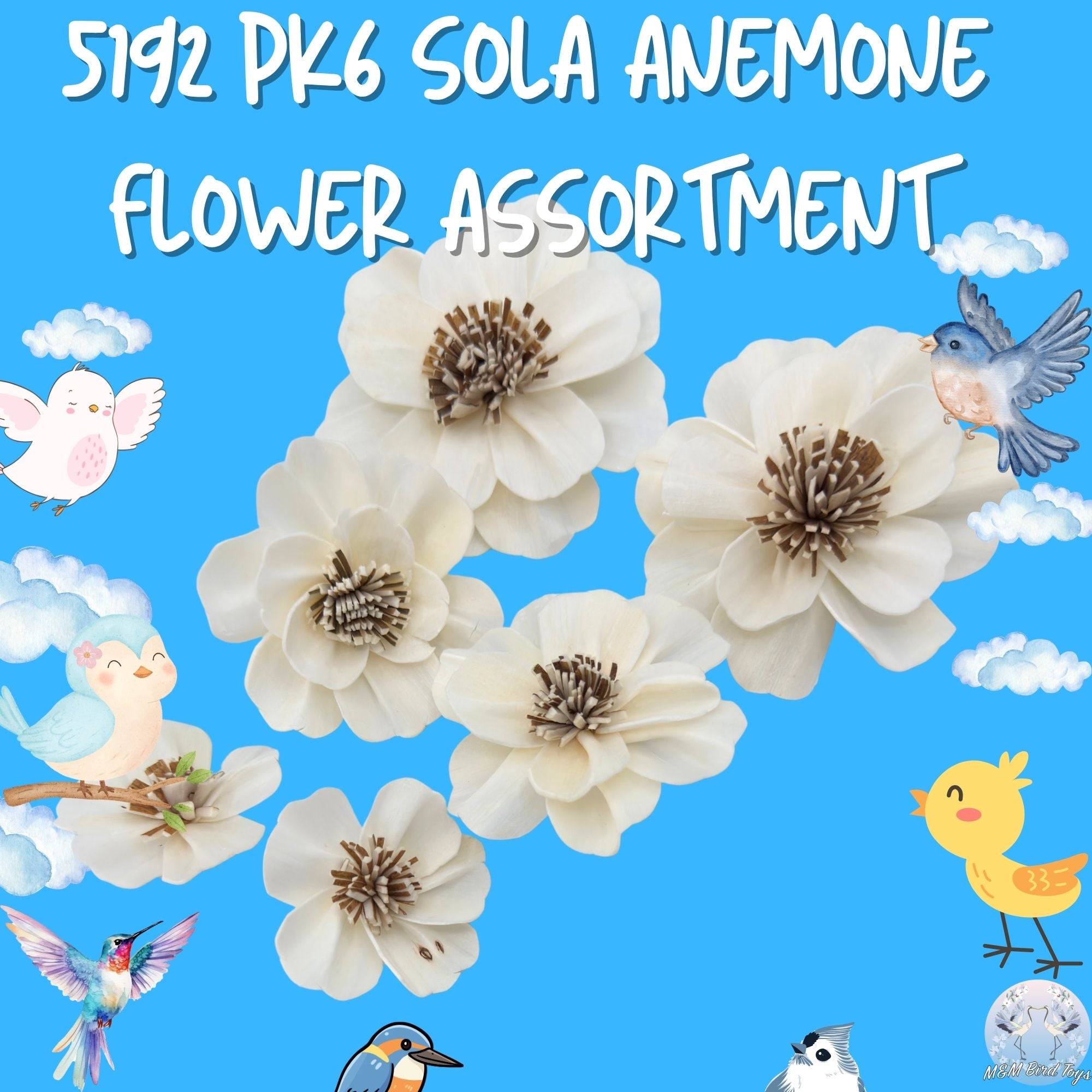 5192 Pk6 Sola Anemone Flower Assortment