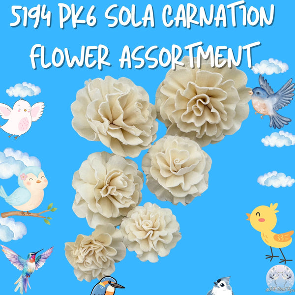 Pk6 Sola Carnation Flower Assortment #5194